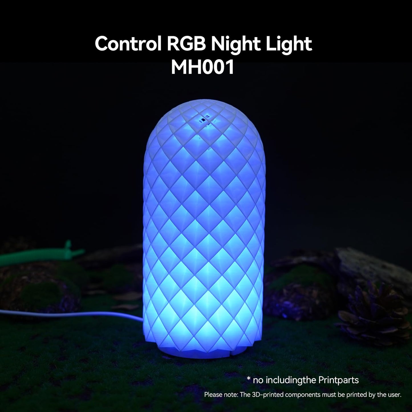 BambooSegD 10PCS Remote Control RGB LED Lamp Kit 001 for Bambu Lab H2D/X1/P1P/A1 Multicolor Includes Button Battery Makerworld for Anycubic Makeronline 3D Printer Light DIY Hardware Model Parts USB