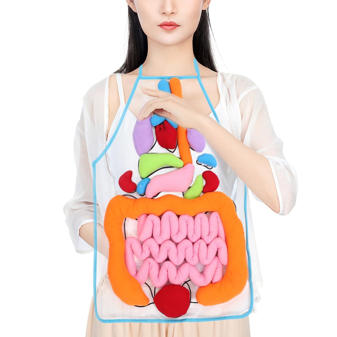 POPETPOP Educational Apron 1 Set 3D Organ Apron, Human Body Organs Cognitive Toy 3D Body Organs Apron Educational Tool Anatomy Apron for Kids 3D Human Organs Apron, As Shown, 60X40CM, As Shown, 60X40CM
