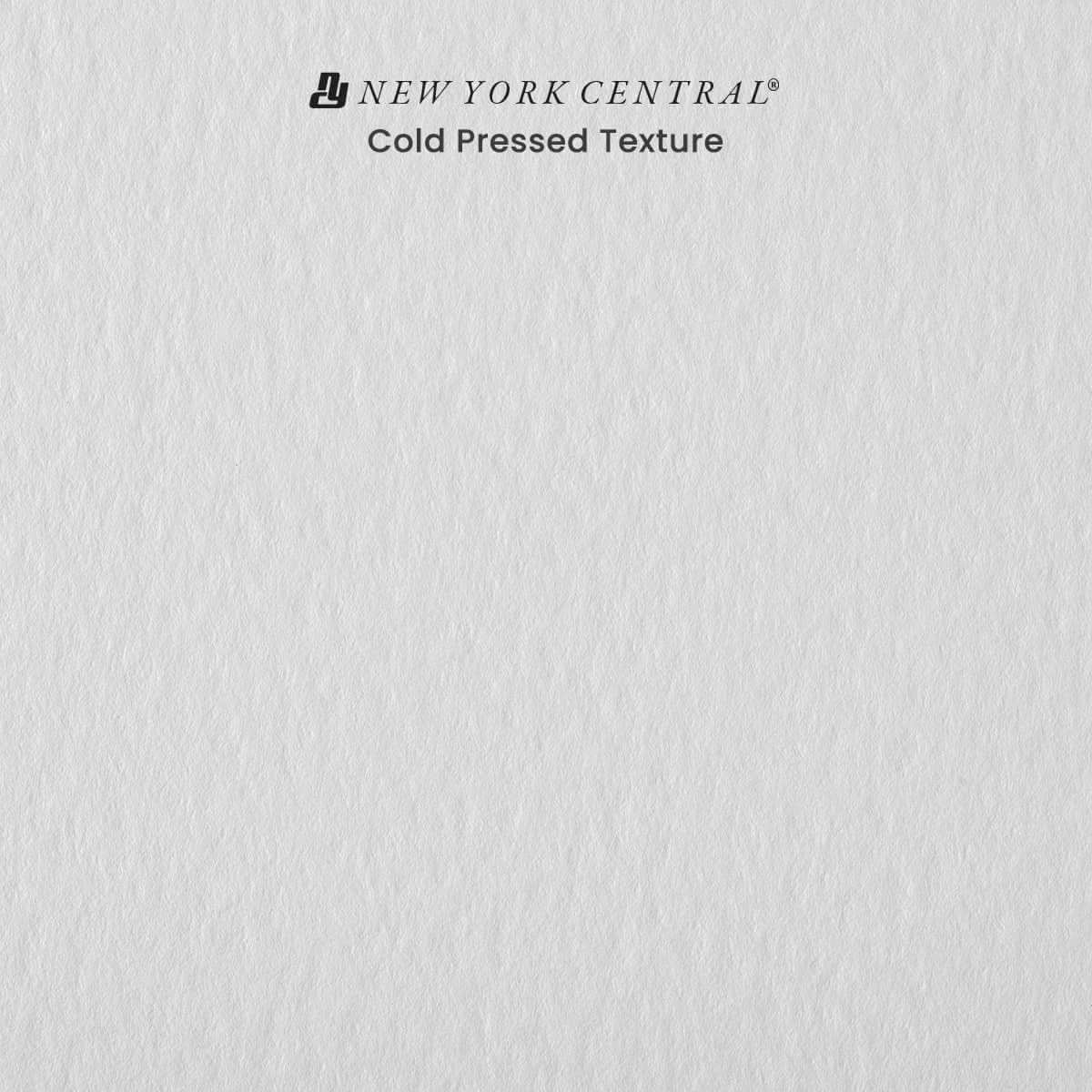 New York Central Watercolor Paper - 22x30-1 Pack of 10 Sheets - 300 lb. Cold Press - 100% Cotton, Acid-Free, Archival Quality, Bright White Watercolor Paper Pad for Wet & Dry Media