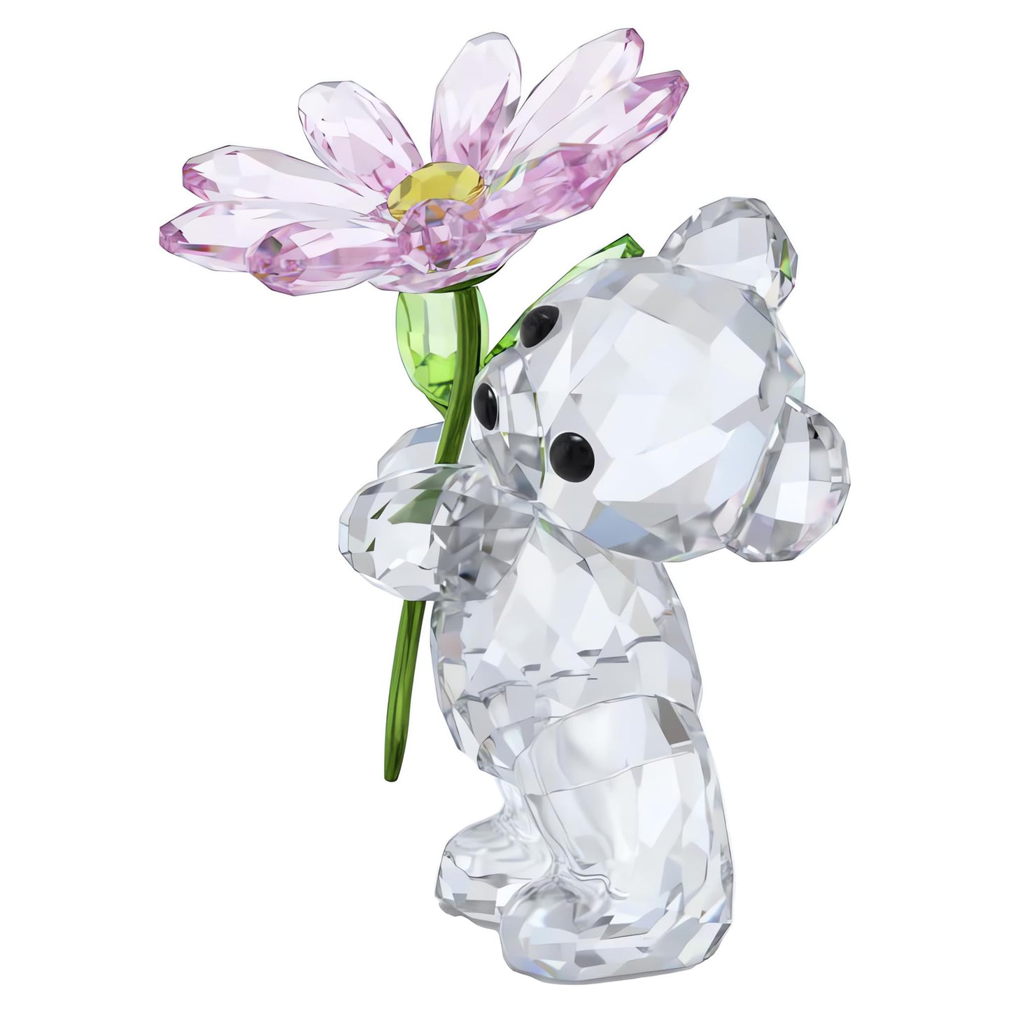 Swarovski Kris Bear A Daisy for You