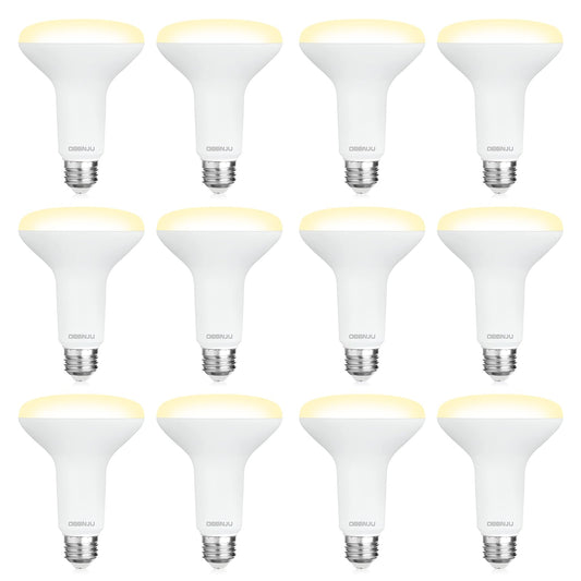 DEGNJU 12 Pack BR30 LED Recessed Light Bulb, Dimmable Indoor Flood Light Bulbs CRI80 7W Equivalent 65W 2700K Soft White 650 Lumens, 15000 Lifetime Hours E26 Base LED Can Light Bulb, Flicker-Free