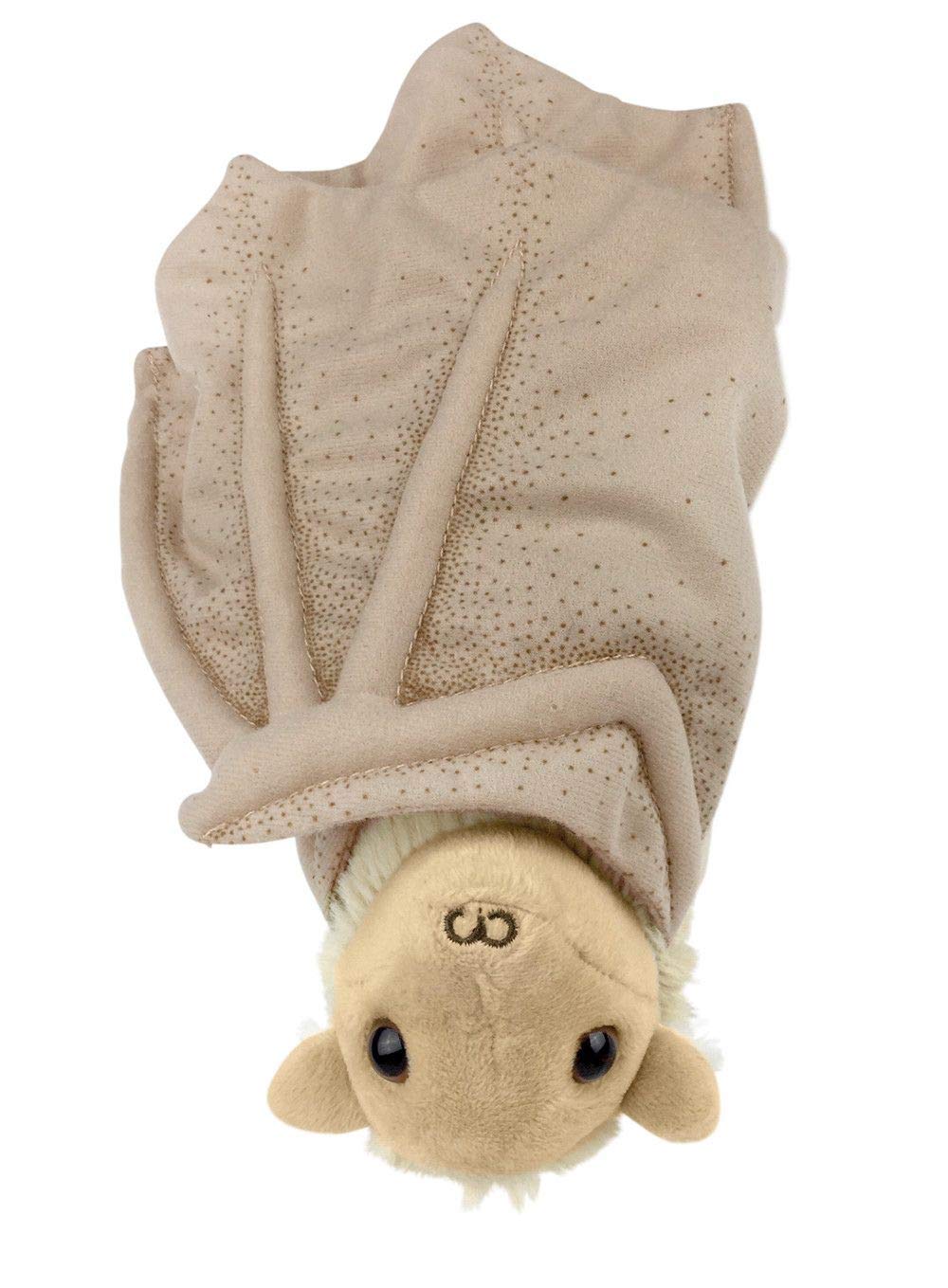 Stellaluna Special Edition Hardcover by Janell Cannon , Stellaluna Plush Doll , Activity Booklet, Downloadable Crafts with Activity Kit and Create a Bat Artwork Gift Set