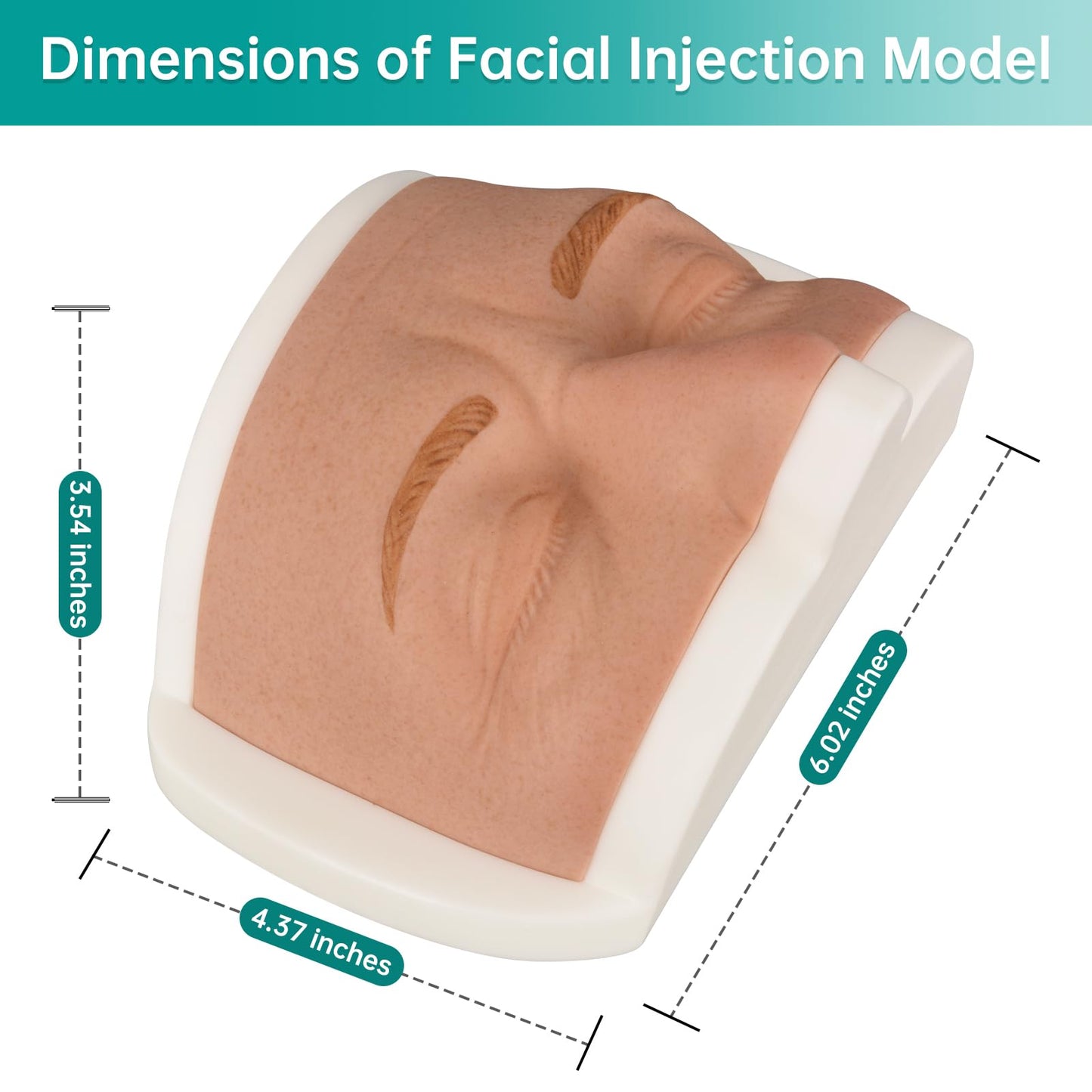 MedEduQuest Silicone Face Injection Practice Kit with Realistic Skin Texture for Medical Training, Makeup Tutorials, and Plastic Surgery Demonstrations, Includes Anti-Slip Base