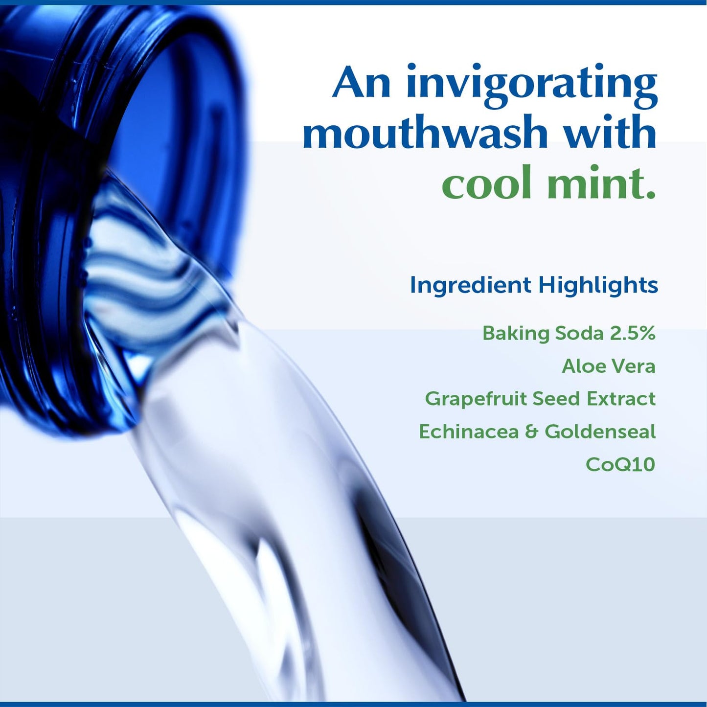 Eco-Dent Alcohol-Free Mouthwash, Mint - Ultimate Essential MouthCare, Oral Care Mouth Wash for Adults, Baking Soda Mouth Rinse with CoQ10/Herbs/Essential Oils, 8 Fl Oz (Pack of 6)
