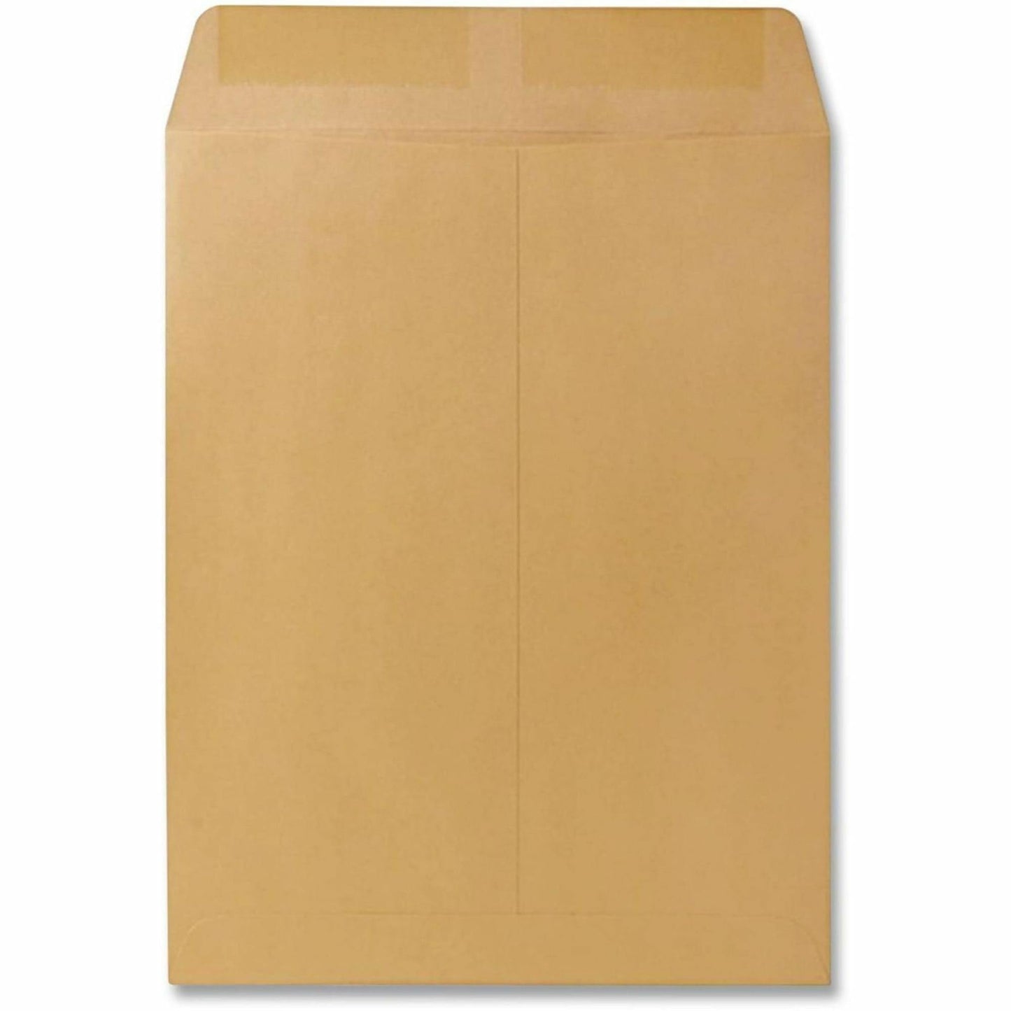 Quality Park Catalog Mailing Envelopes, 9 1/2 x 12 1/2 Envelopes, Gummed, Heavy 28 lb. Kraft Paper, For Mailing, Organizing and Storage, 250 per Box (QUA41565)