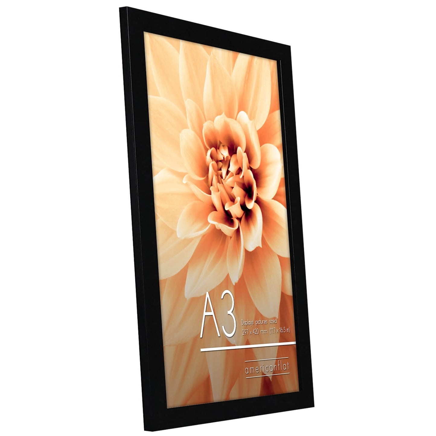 Americanflat A3 Picture Frame with Shatter-Resistant Glass - Set of 2-11.7x16.5 Frame with Engineered Wood - Signature Collection - A3 Frames for Wall Display - Black