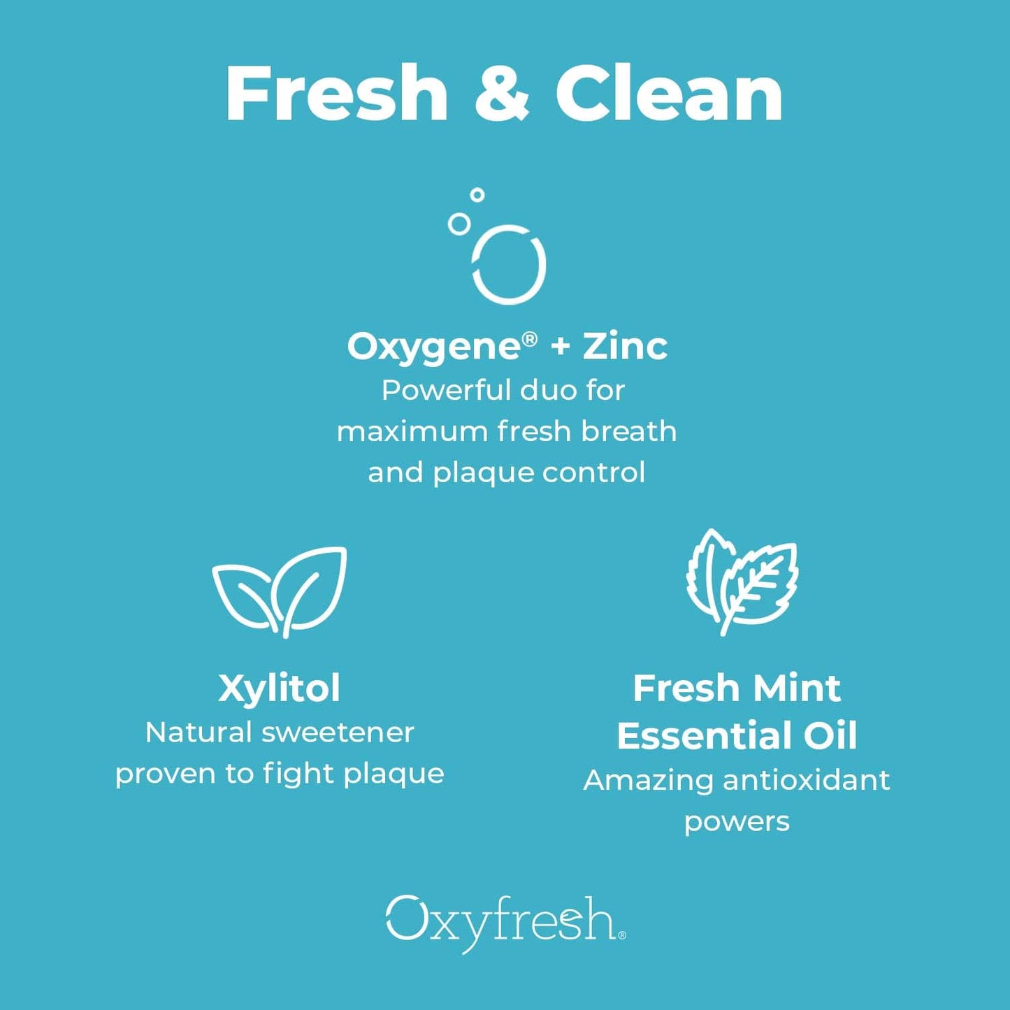 Oxyfresh Pro Formula Fresh Mint Mouthwash – Patented Zinc Mouthrinse for Fresh Breath & Soothing Gums – Dye Free, Fluoride Free, Alcohol Free Mouthwash – 3 Bottles, 16 oz. ea.