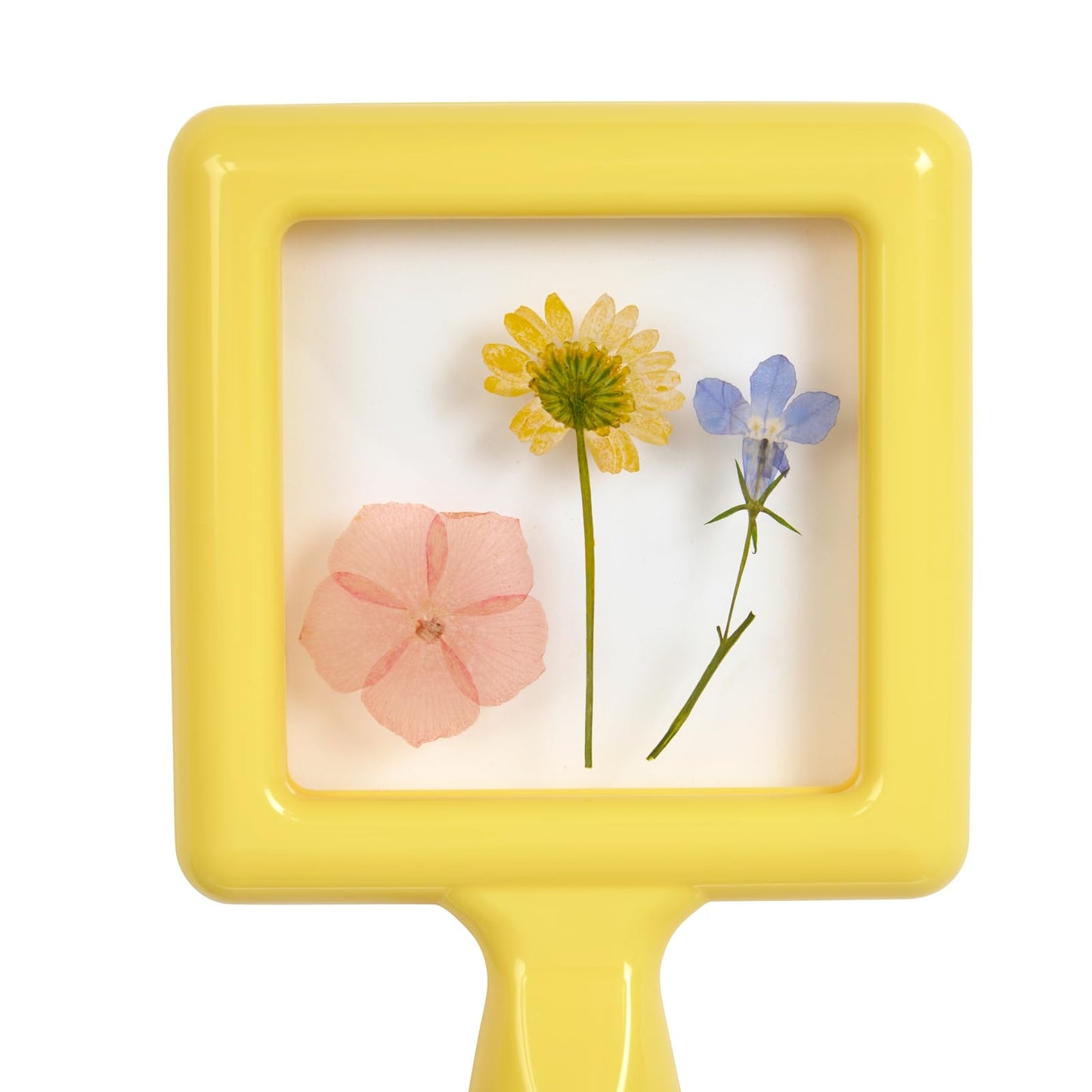 Environments Toddler, Preschool Early STEM, Specimen Viewers for Kids, Science Education Set of 4