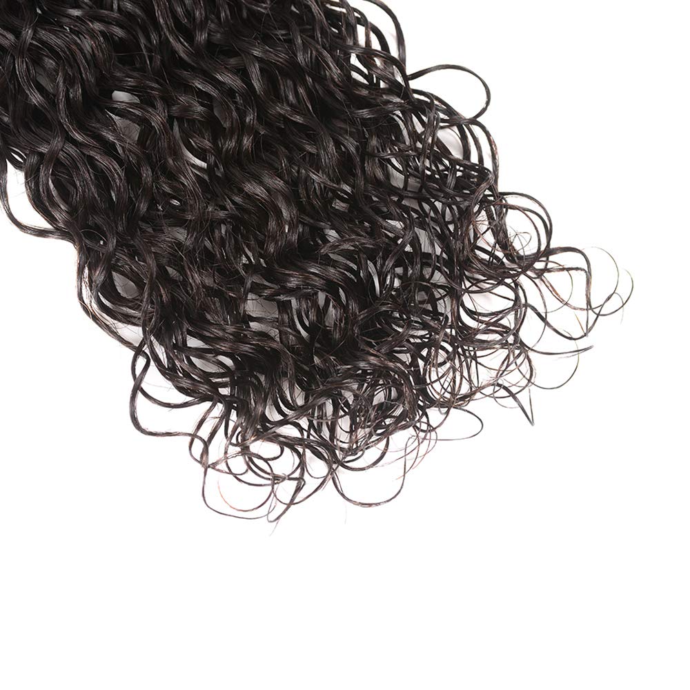 Wet and Wavy Bundles with Closure (10 12 14+10) 8A Unprocessed Water Wave Hair 3 Bundles 100% Virgin Brazilian Human Hair Bundles with Closure Can Be Dyed