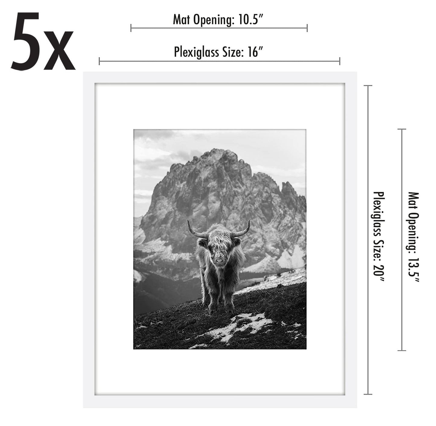 Americanflat 16x20 Picture Frame with Polished Plexiglass - Set of 5 - Use as 11x14 Frame with Mat or Display 16x20 Photo Without Mat - Galleria Collection - Picture Frames for Wall Display - White