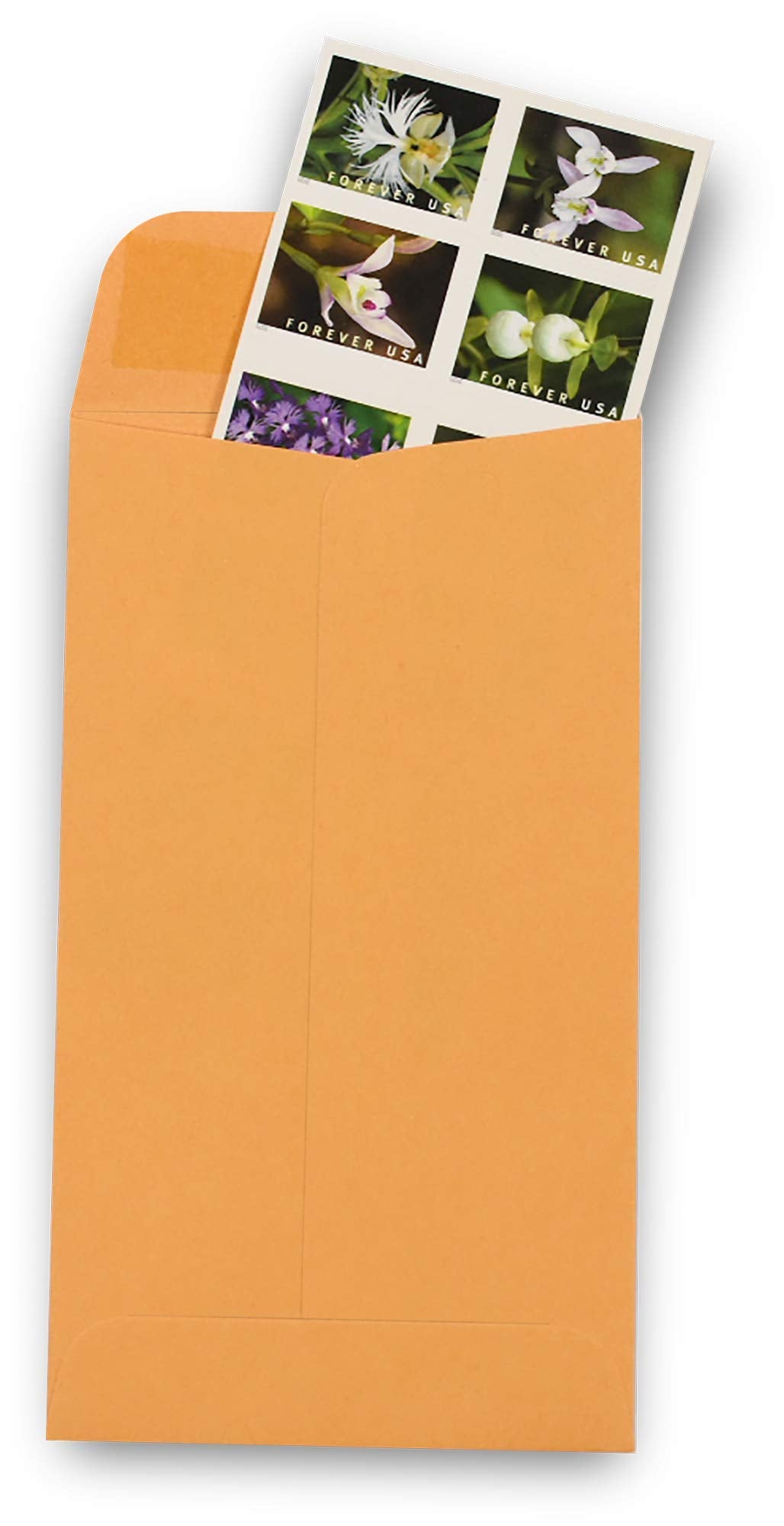 500 Guardian #6 Paper Coin Envelopes - Blank Small Envelopes for Coins, Receipts, Stamps, Small Parts Storage, & More – 3-3/8” x 6” Cash Envelopes – Gummed Flap Gift Card Holder Envelopes