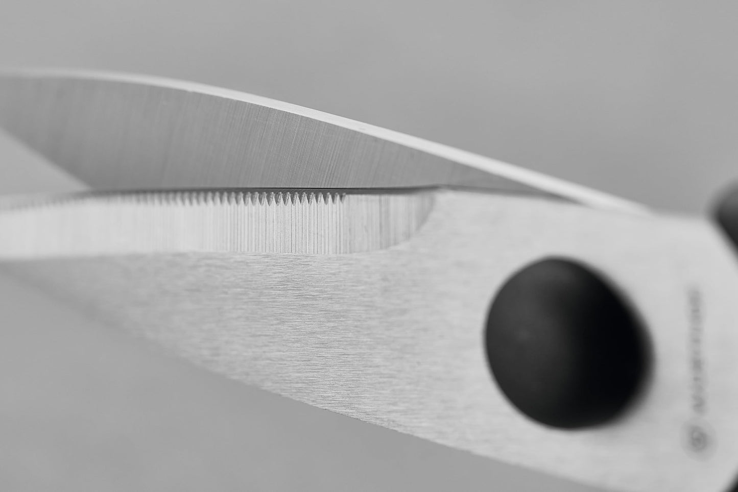 WÜSTHOF Come Apart Kitchen Shears - 2pk (Black & White)
