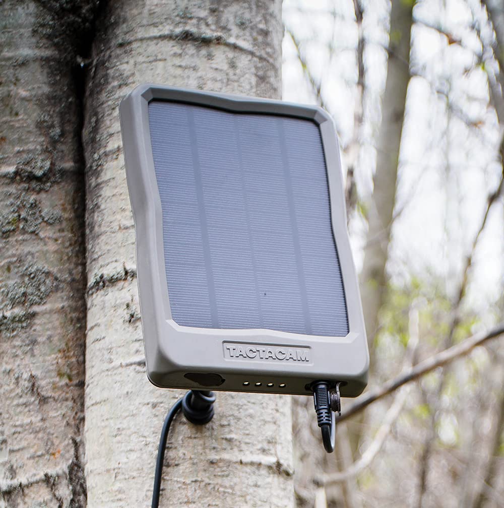 TACTACAM Reveal Solar Panel for Cellular Trail Cameras X 2.0, X, Gen 1, SK, XB (Solar Panel)