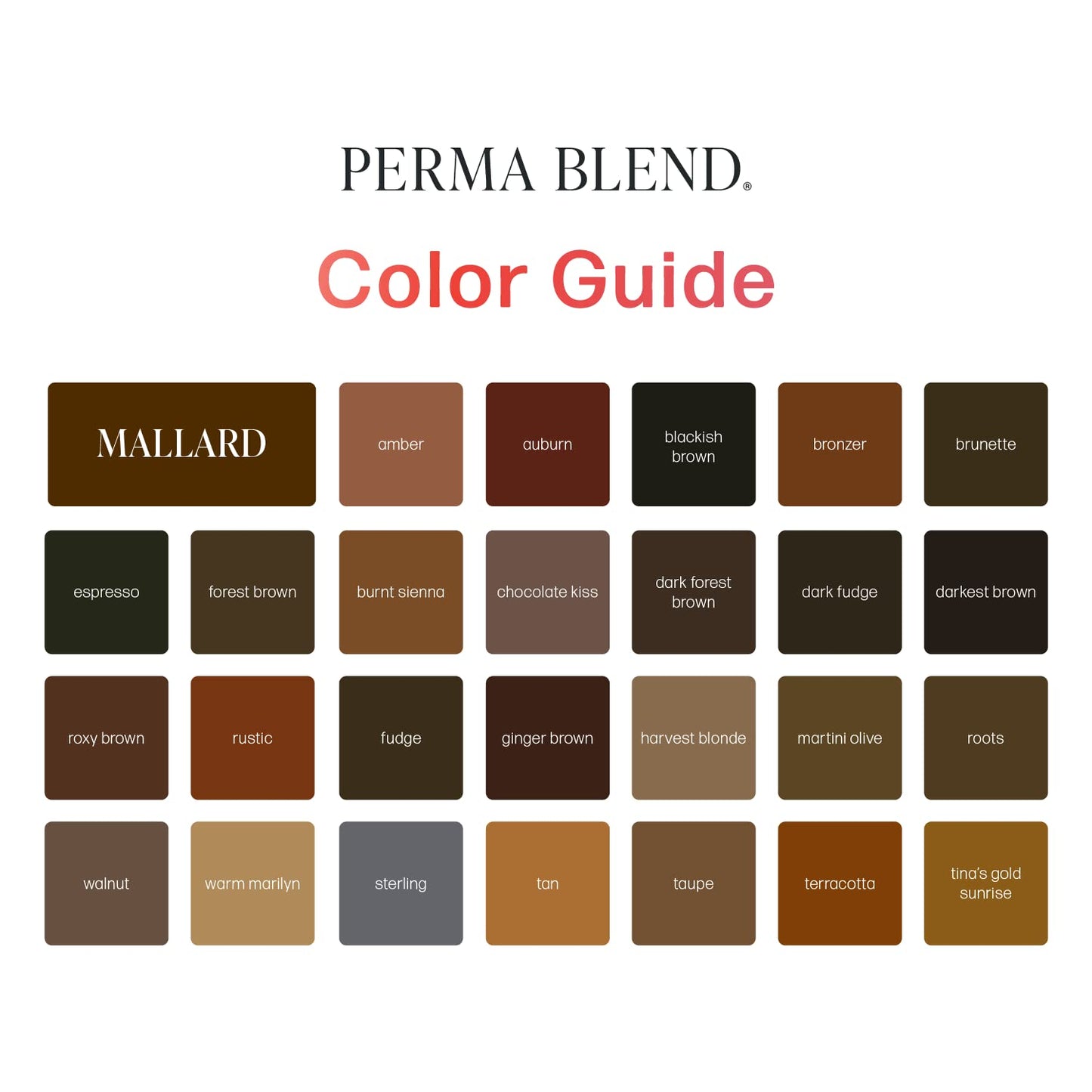 Perma Blend - Cool Eyebrow Tattoo Set - Microblading Pigment + Eyebrow Tattoo Ink for Permanent Makeup - Includes Blackish Brown, Dark Fudge and Mallard - Vegan - (0.5 oz, 3 Count)