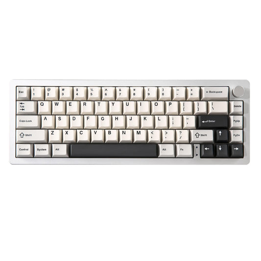 YUNZII AL66 Wireless Mechanical Keyboard,65% Knob Control Aluminum Gaming Keyboard BT/2.4G/Wired Hot Swappable Pre-lubed Switches, Gasket Mounted RGB Keyboard for Win/Mac(Milk Switch, Silver)