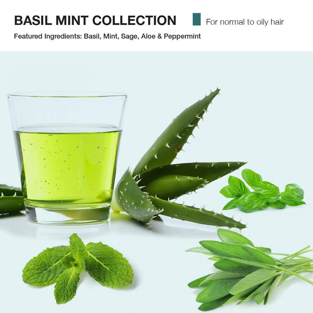 MOP Revitalizing Shampoo, Basil Mint, 33.8 Fl Oz