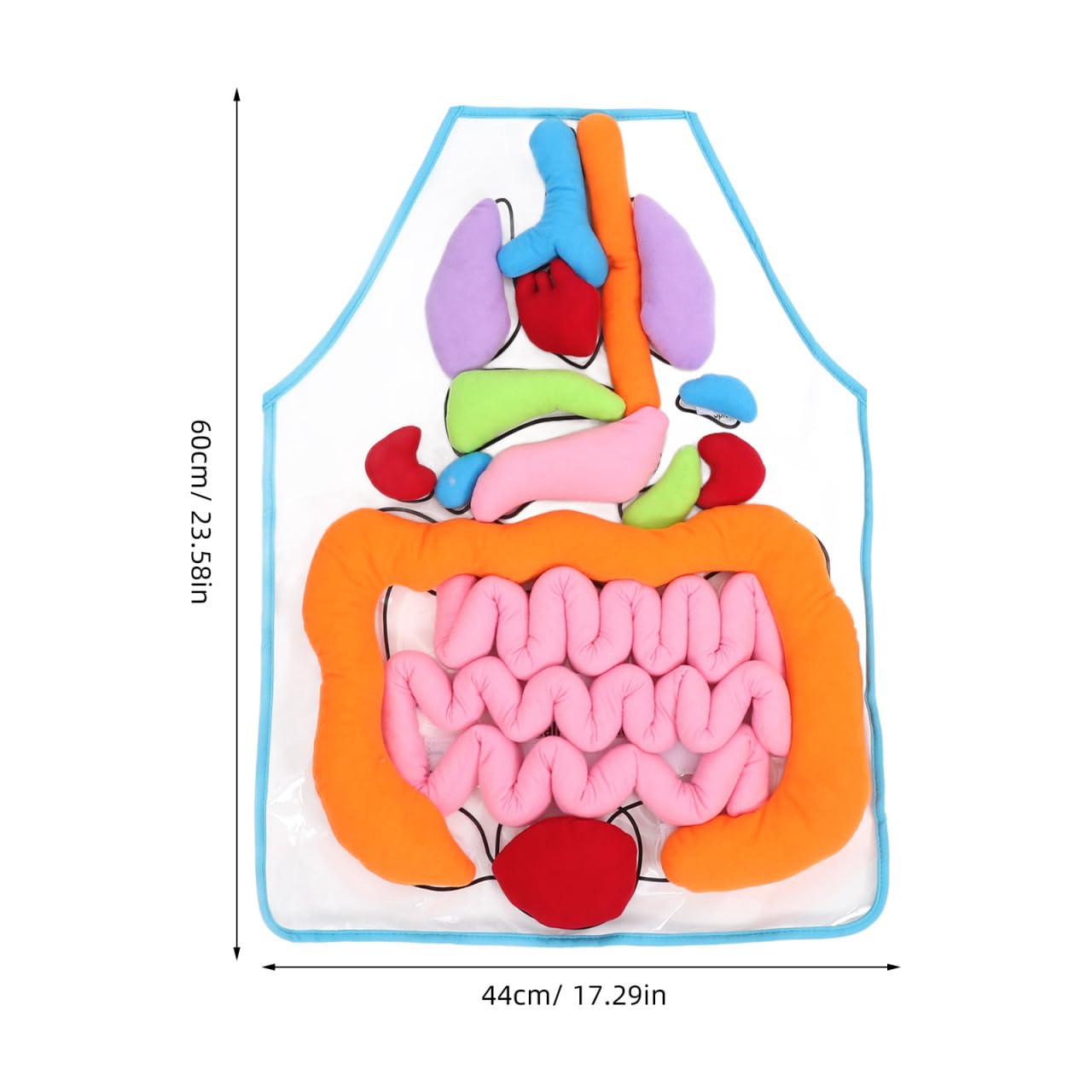 POPETPOP Educational Apron 1 Set 3D Organ Apron, Human Body Organs Cognitive Toy 3D Body Organs Apron Educational Tool Anatomy Apron for Kids 3D Human Organs Apron, As Shown, 60X40CM, As Shown, 60X40CM