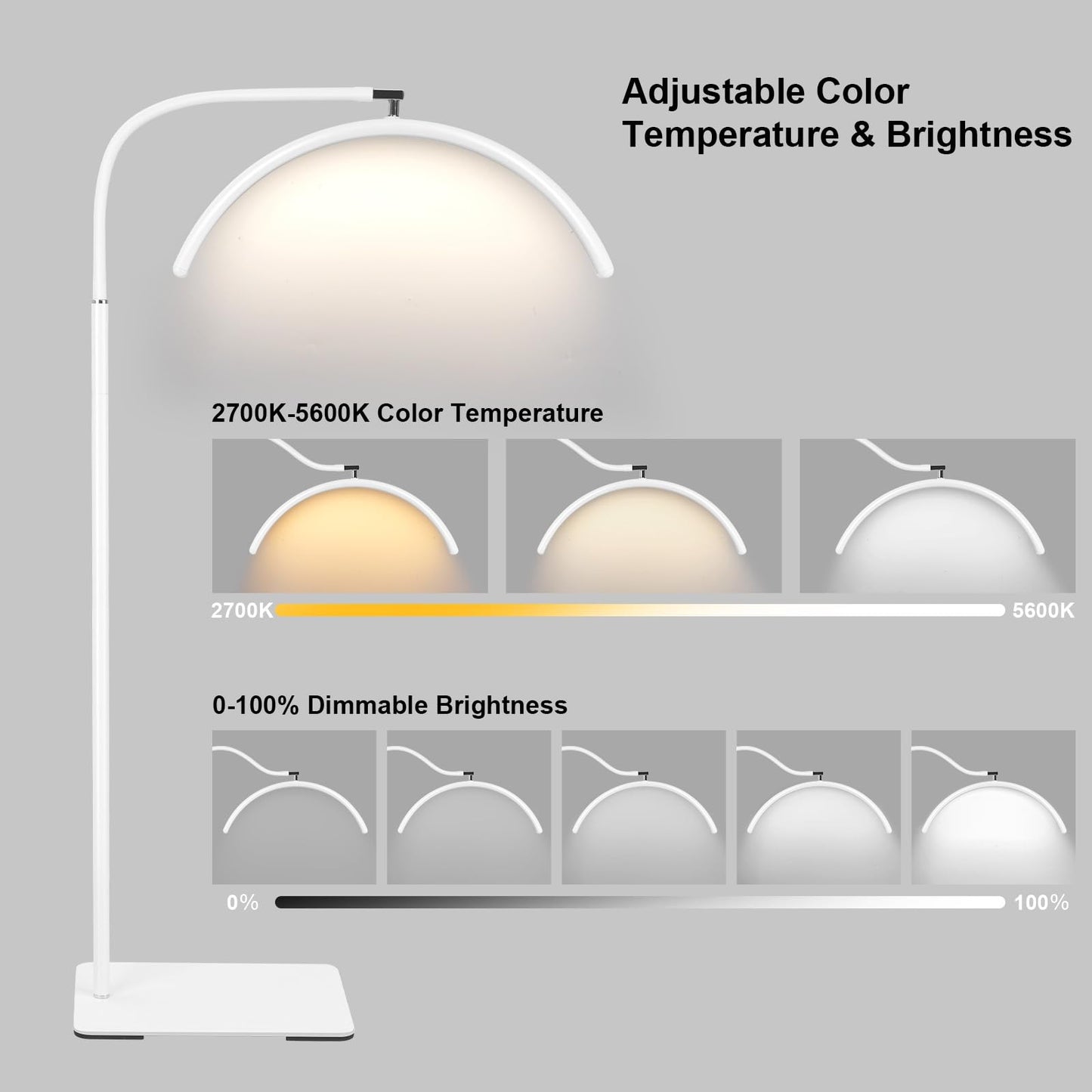 ZEKAHOV Half Moon LED Floor Light - Professional Shadow-Free Lamp for Lash Techs, Estheticians & Tattoo Artists | Remote Control & Dimmable for Eyelash Extensions, Nail Art, Home & Office