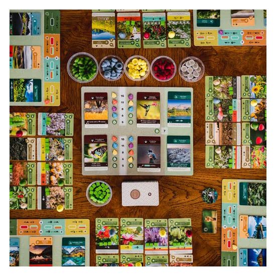 Inside Up Games Earth | Board Game of The Year 2023 | Ecosystem Building, Card Drafting, Action Selection | Create Amazing Natural Synergies | 1 to 6 Players | 45 to 90 Minute | Age 13+