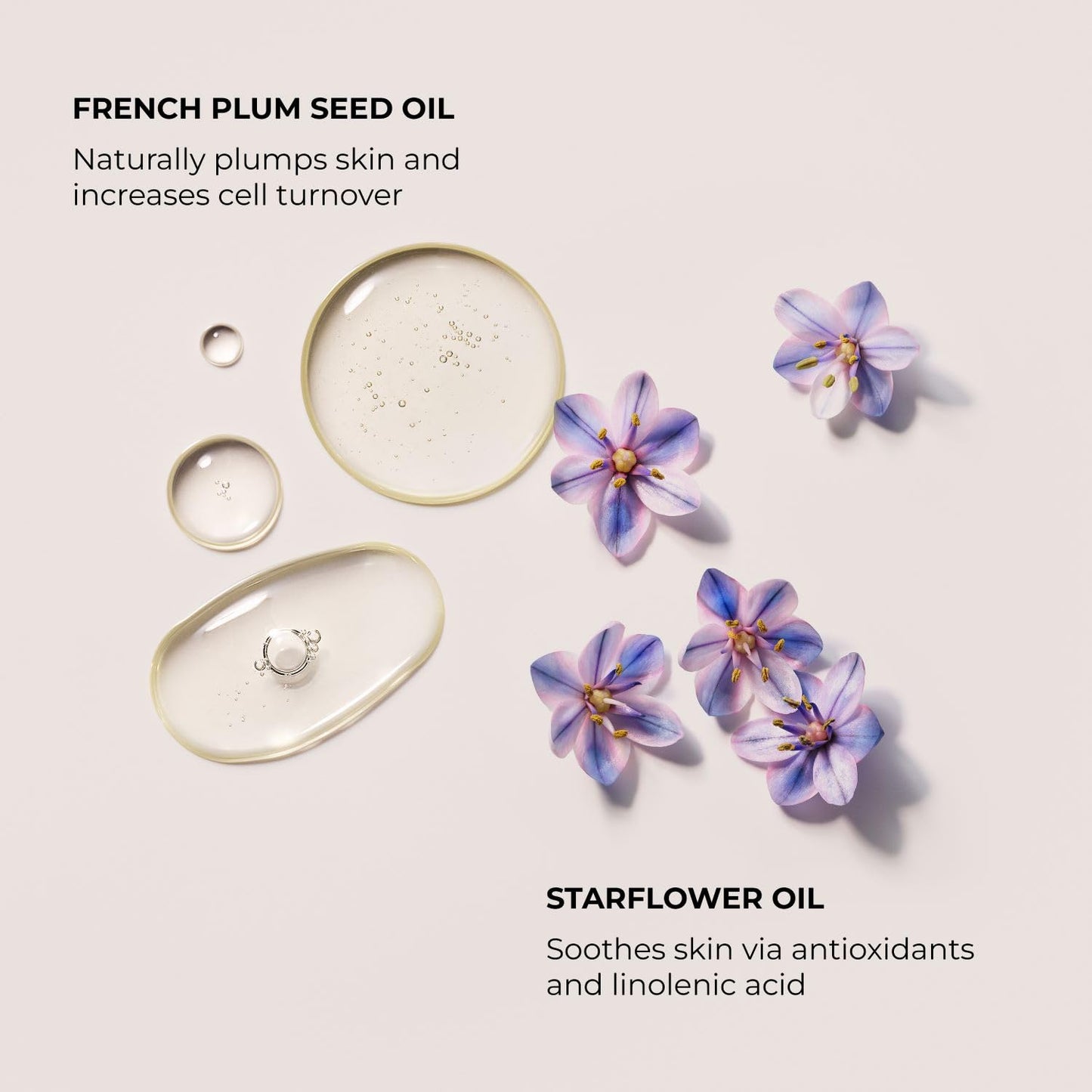 Laura Mercier Aromatic Bath & Body Oil, 48HR Hydration, Smooths, Softens and Brightens Skin, Luxurious, Almond Coconut