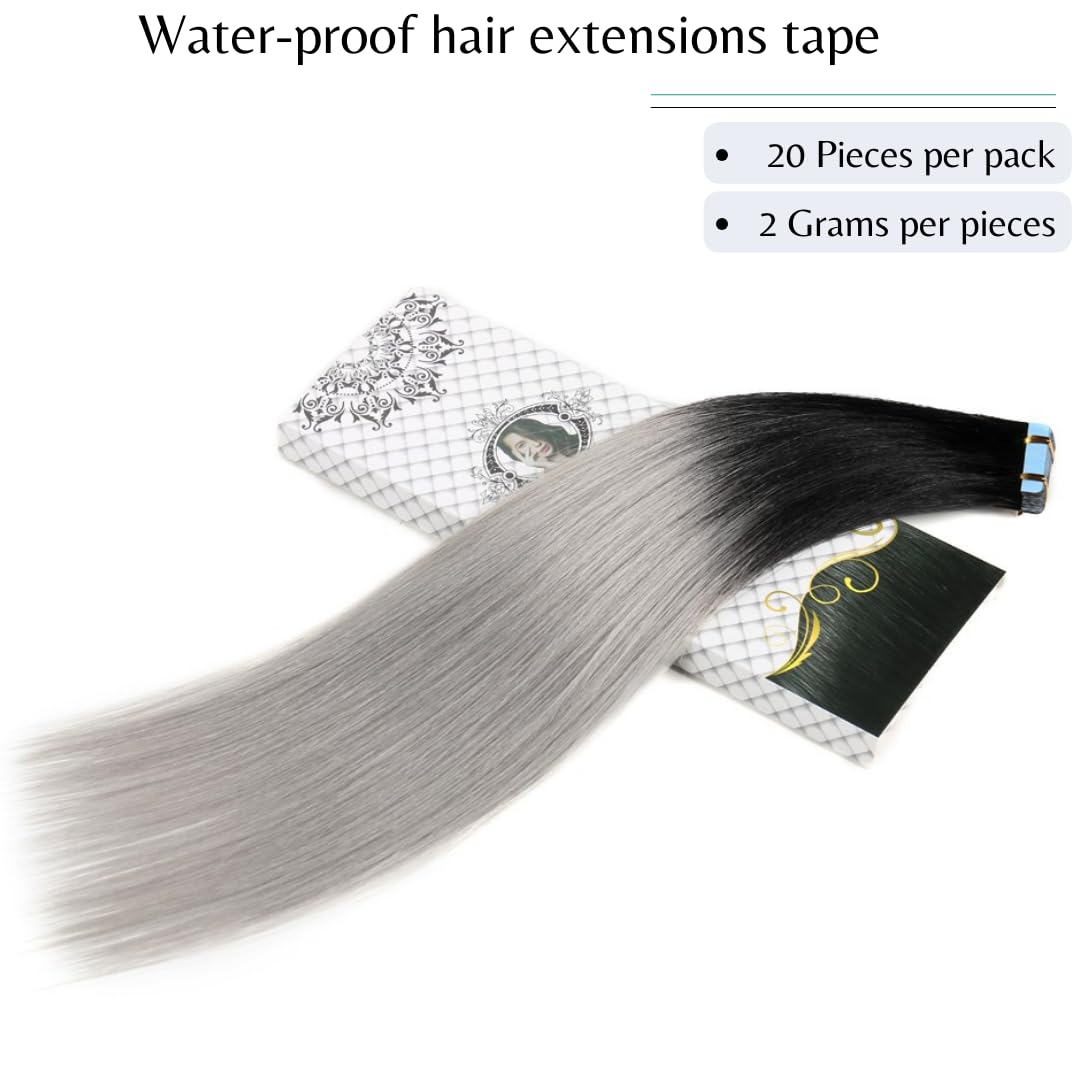 Rinboool Tape in Hair Extensions, Real Natural Remy Human Hair, Seamless Straight Pu Skin Weft, 14 Inch 40 Gram 20 Pieces, Ombre Black to Silver Grey