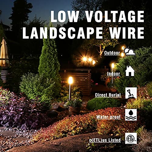 Cableague 12/2 Low Voltage Landscape Lighting Wire 100ft 12AWG*2C Waterproof Conductor Outdoor Direct Burial 100 feet Black