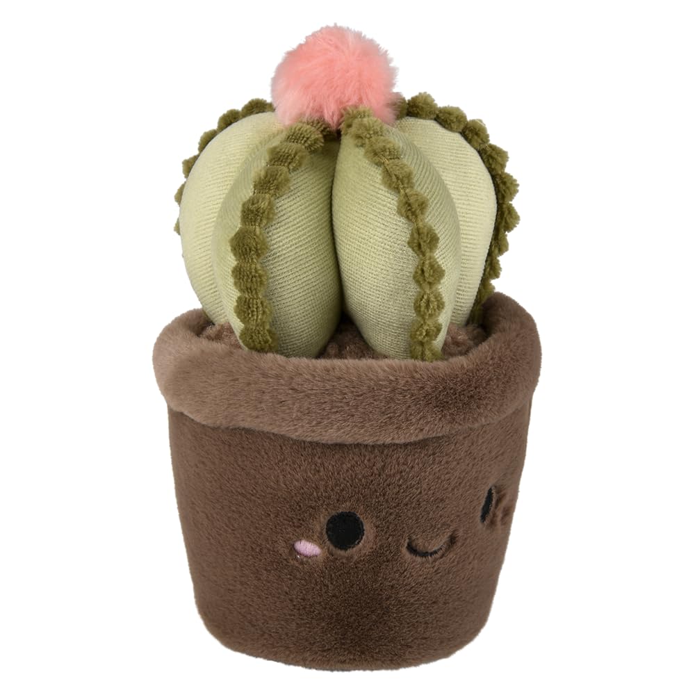 Rhode Island Novelty Plush Succulent Assortment (6 ct)