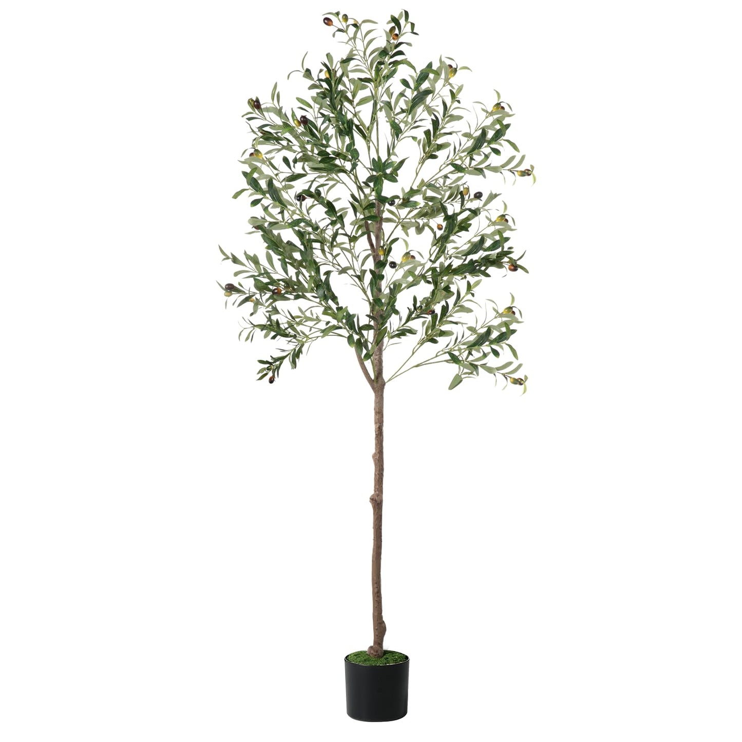 Olive Tree, 6FT Tall Faux Olive Tree with Moss and Planter, Olive Trees Artificial Indoor with Realistic Wood Trunk and Lifelike Fruits, Fake Olive Tree for Home Office Living Room Decor