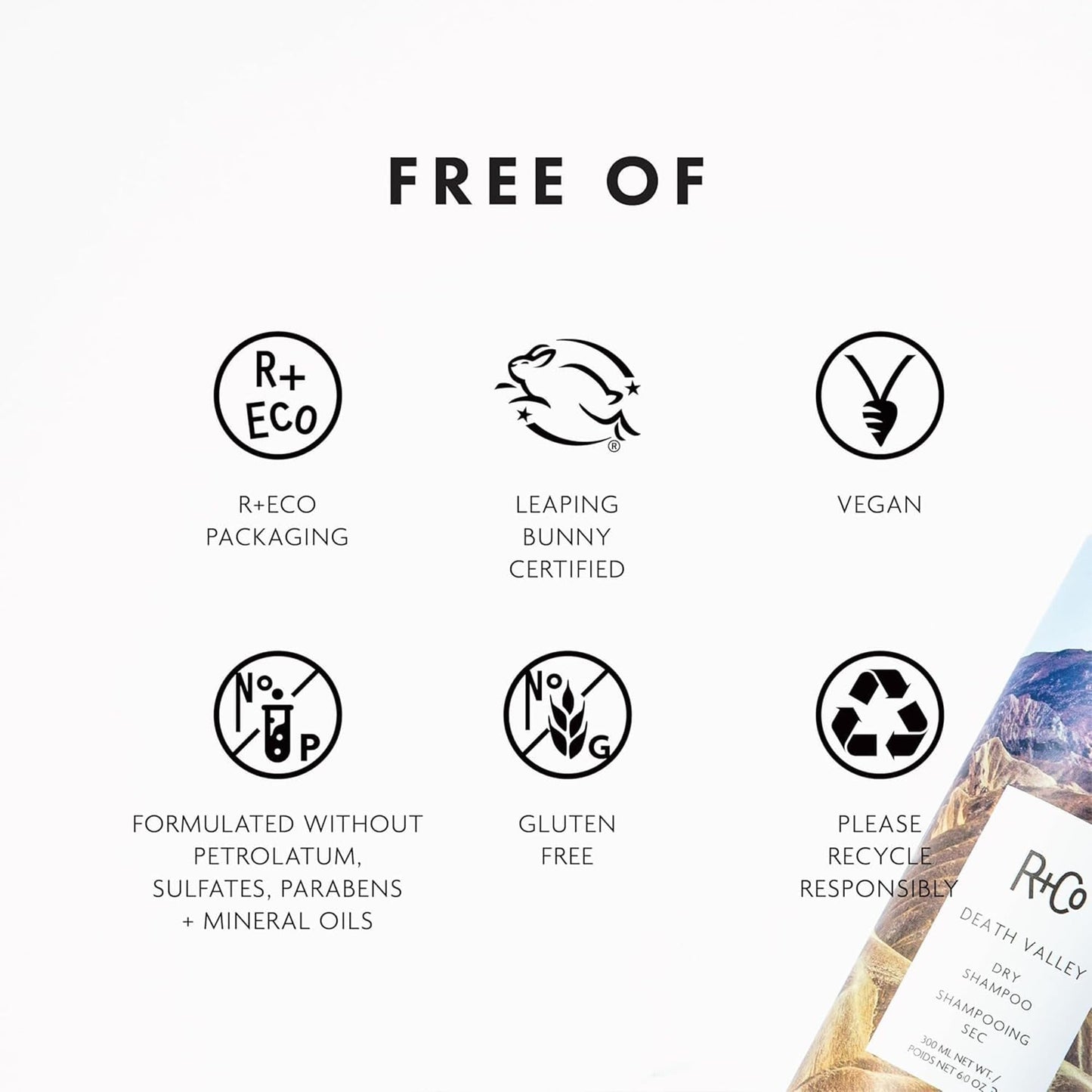 R+Co Death Valley Dry Shampoo For Women