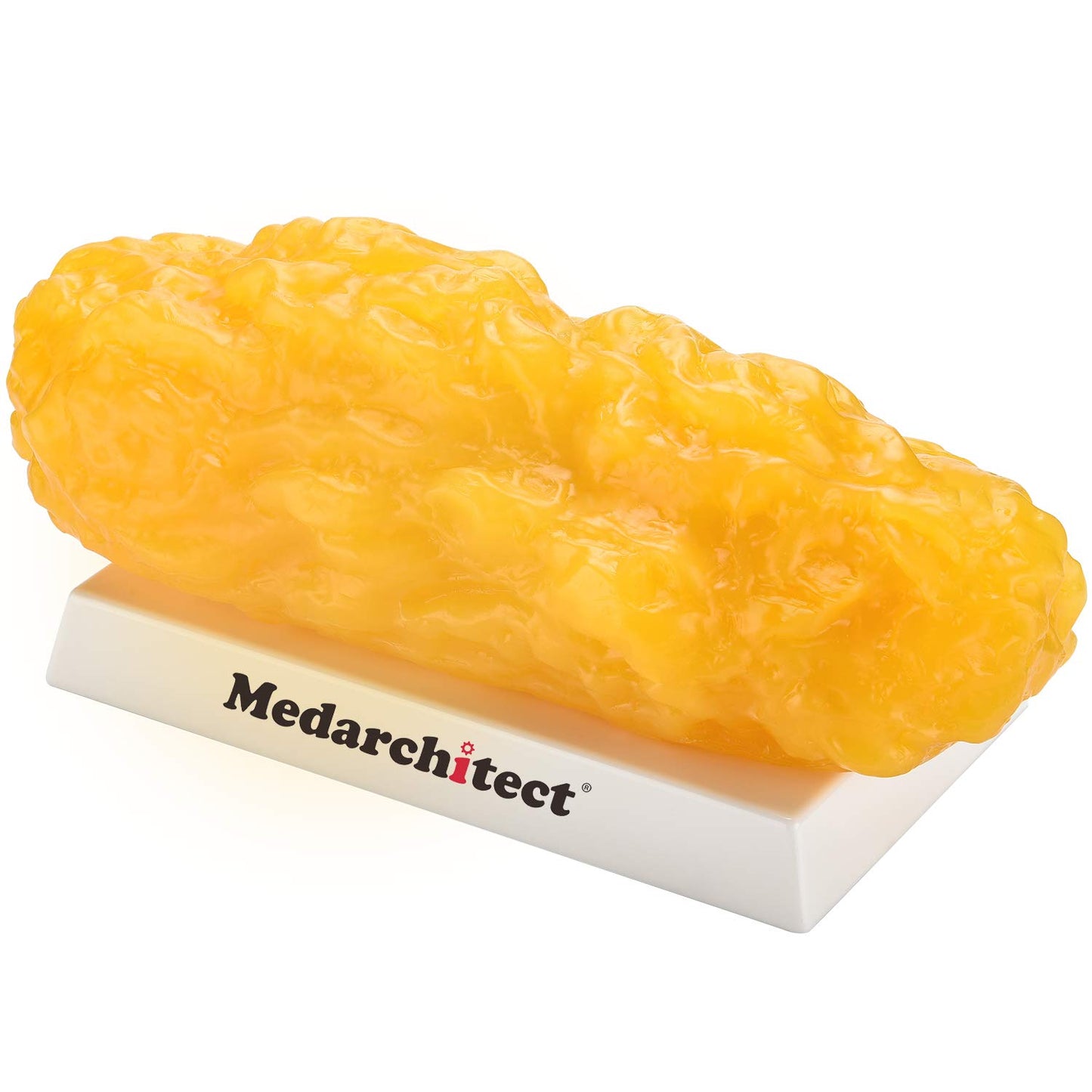 Medarchitect Authentic Human Body Fat Replica - 5 lb, Keep Fit & Weight Loss Motivation & Reminder, Human Fatty Tissue Demonstration Model for Nutritionist, Anatomical Science Course