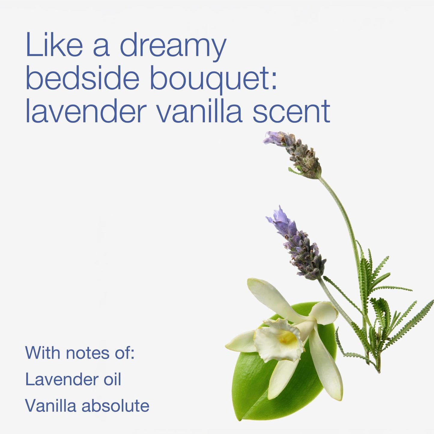 Bath & Body Works Lavender Vanilla Wallflowers Refills - Plug-In Air Freshener Refill for At-Home Use - Always-On Fragrance - Natural Essential Oils - Room-Filling Fragrance - Thoughtful Gift - 6-Pack