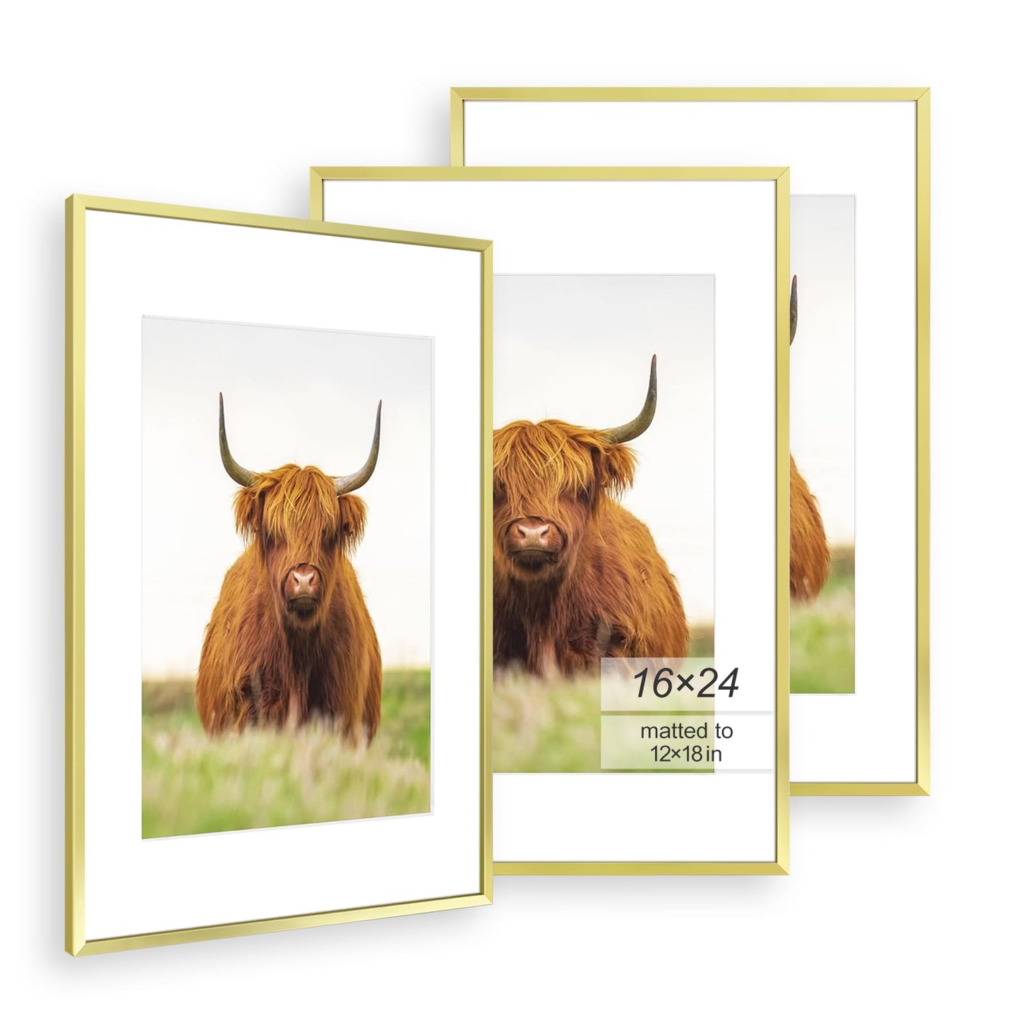 Golden State Art, 16x24 Picture Frame Set of 3, Gold Thin Border, Display Photo 12x18 with Mat or 16x24 Without Mat, Poster Frame for Wall Hanging Horizontal and Vertical