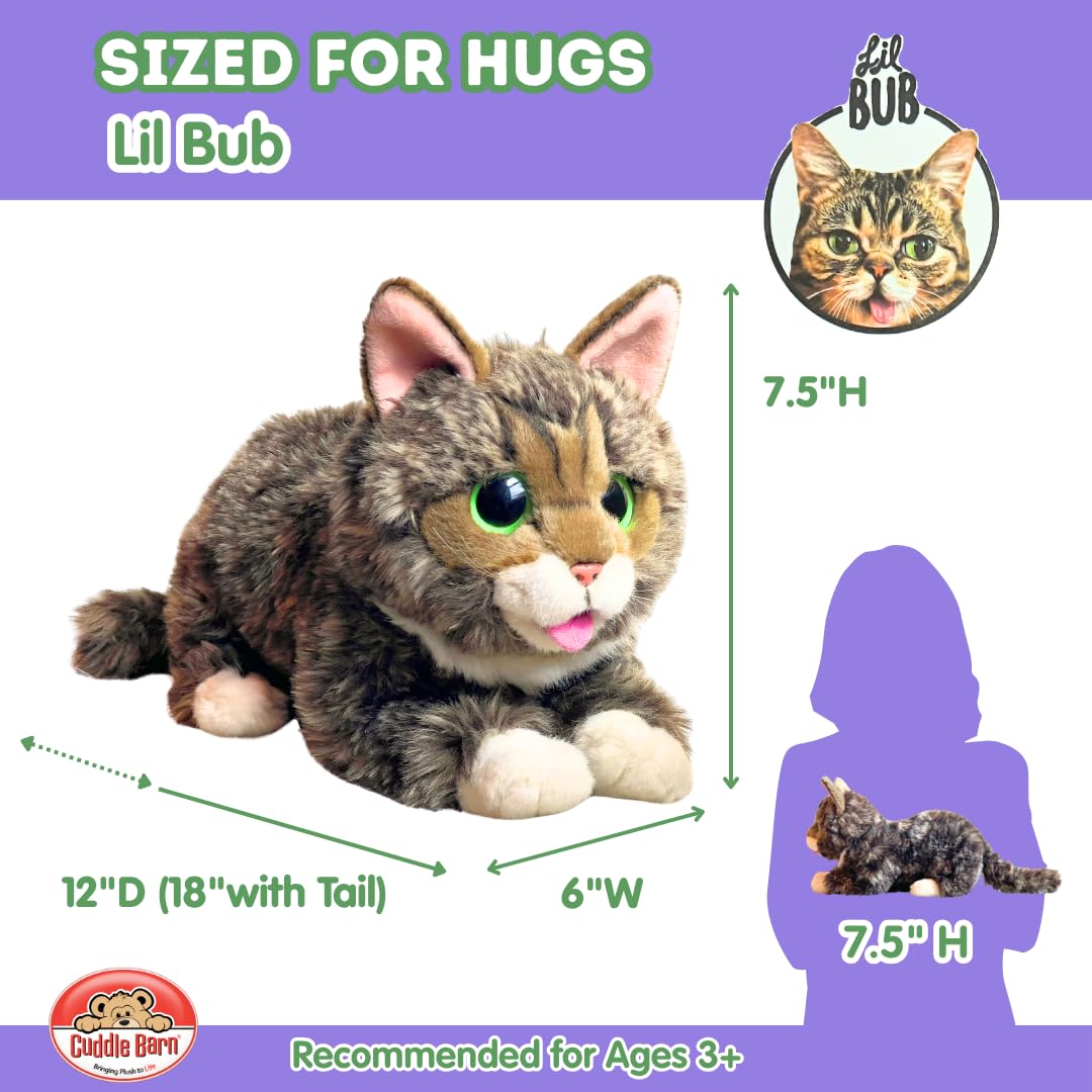 Cuddle Barn Lil Bub Adorable Kitten Cat Plush Toy, CB8240