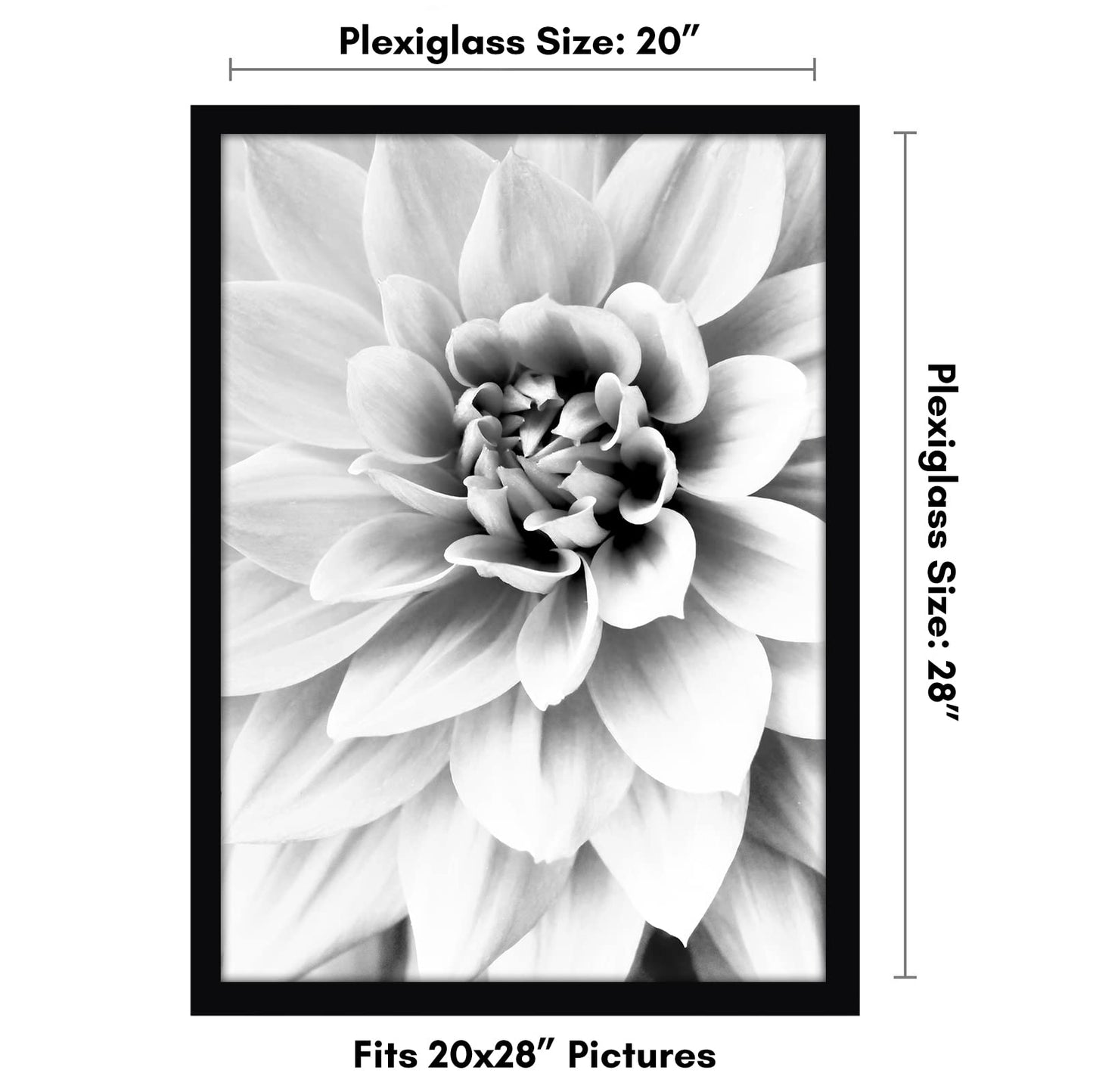 Americanflat 20x28 Poster Frame - Black Engineered Wood with Polished Plexiglass - Wide Picture Frame for Vertical or Horizontal Wall Display - Epic Collection - Black