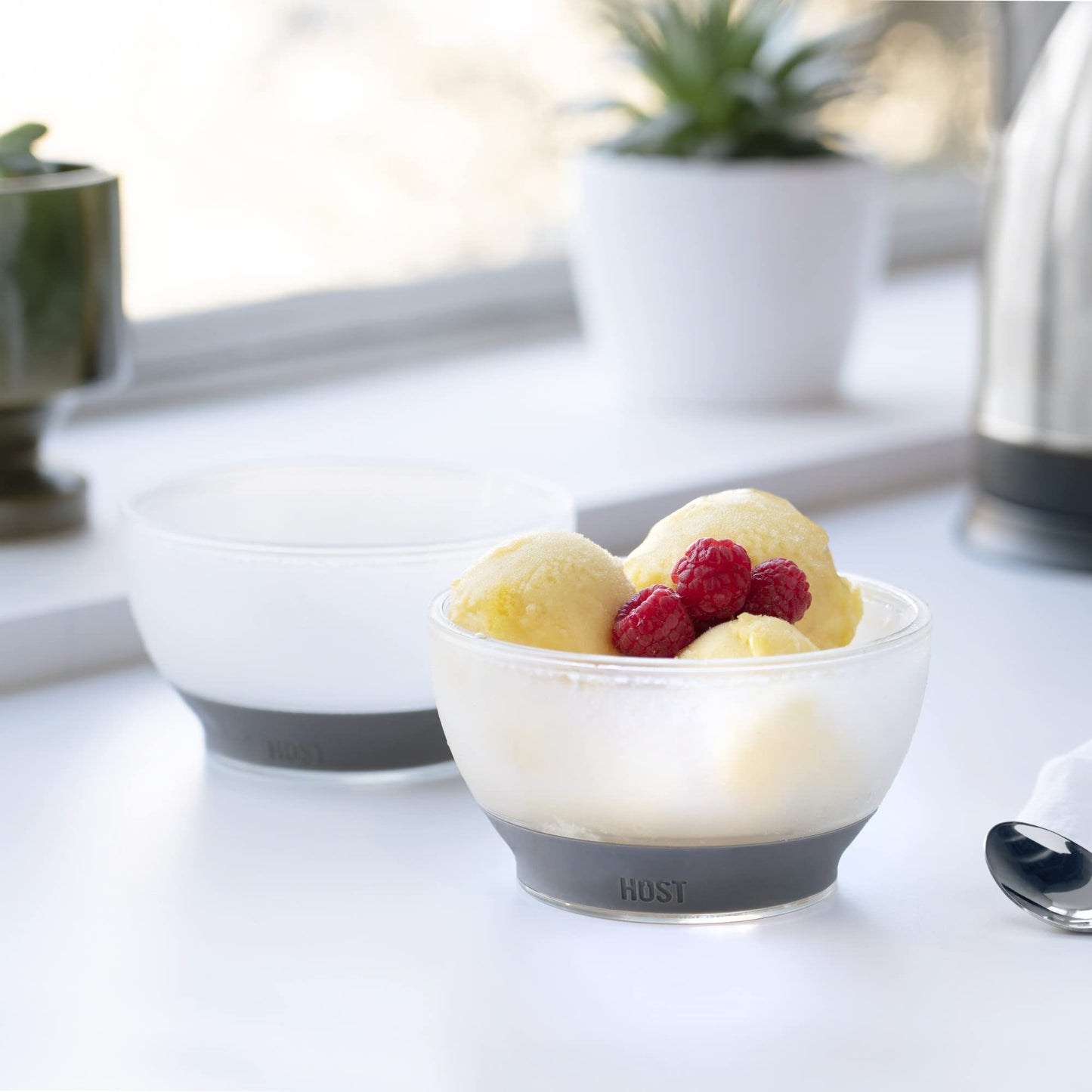 Host Freeze Ice Cream Bowls with Comfort Silicone Grip, Double Walled Insulated Bowl for Cereal, Fruit, Acai, Desserts, Outdoor Party, Kitchen Accessories, 18 oz Set of 2, Grey