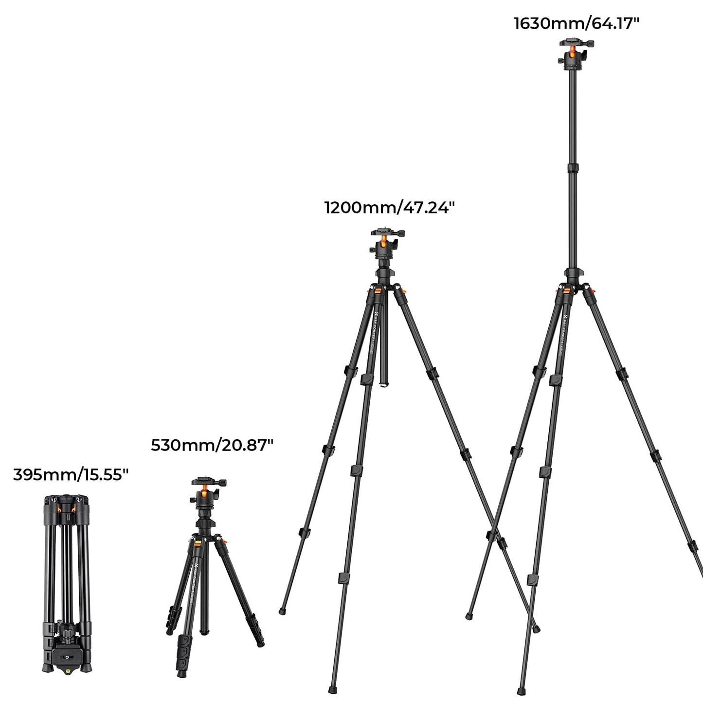 K&F Concept 64 inch/163cm Camera Tripod,Lightweight Travel Outdoor DSLR Tripods with 360 Degree Ball Head Load Capacity 8kg/17.6lbs,Cellphone Clip for Smartphone Live Streaming Vlog K234A0+BH-28L