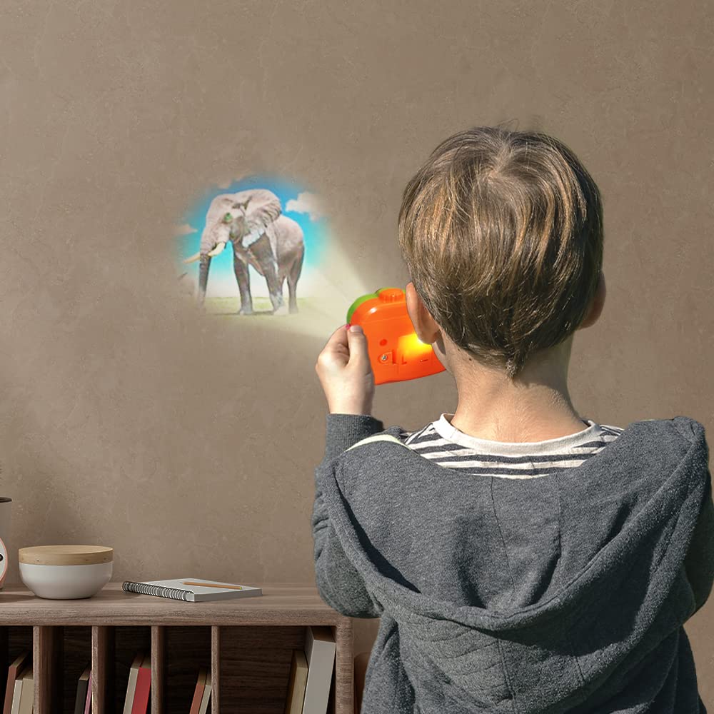 ArtCreativity 2 in 1 Viewfinder Camera with Projector, Set of 12, Battery Operated Projectors with Wild Animal Slides, Great Safari Party Favors, Zoo Party Supplies, & Wild One Party Favors for Kids