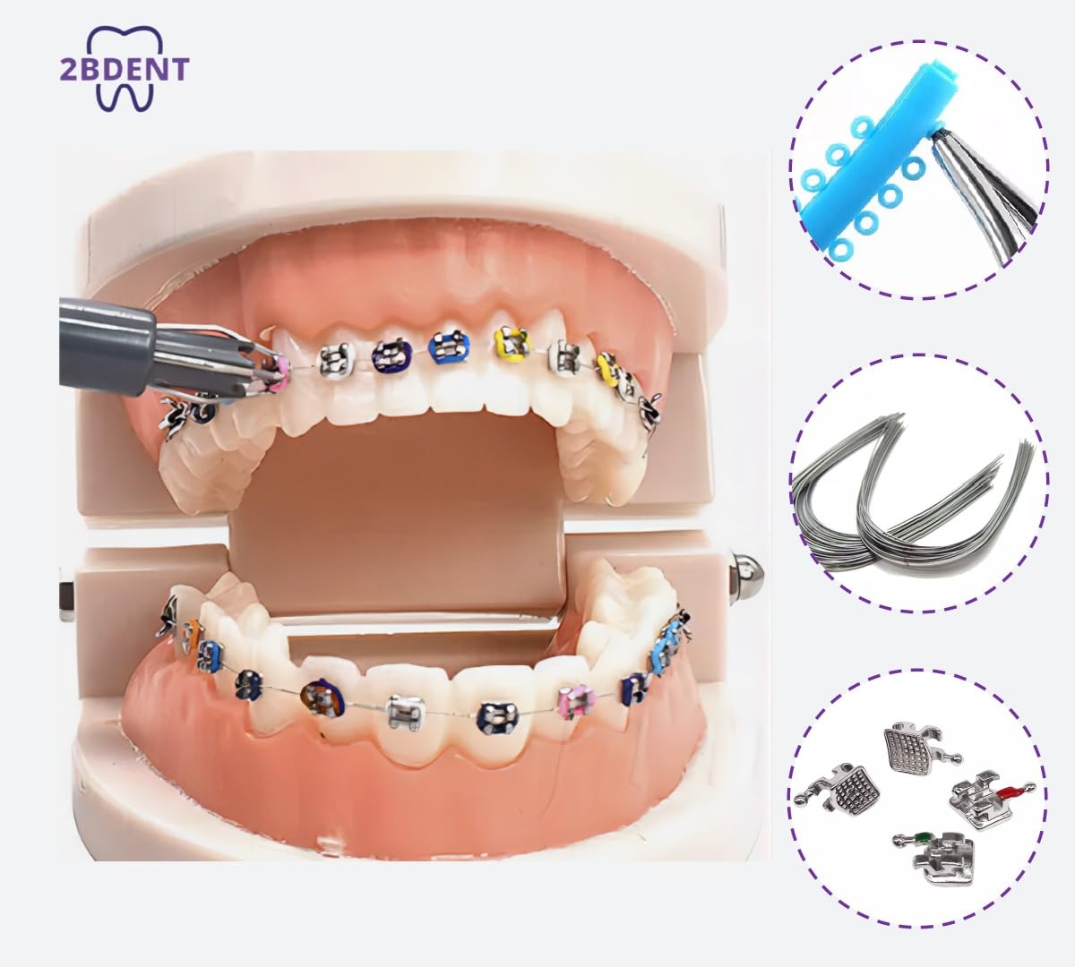 2BDENT Dental Braces Kit Orthodontic Metal Braces Kit, Orthodontic Ligature Ties Kit