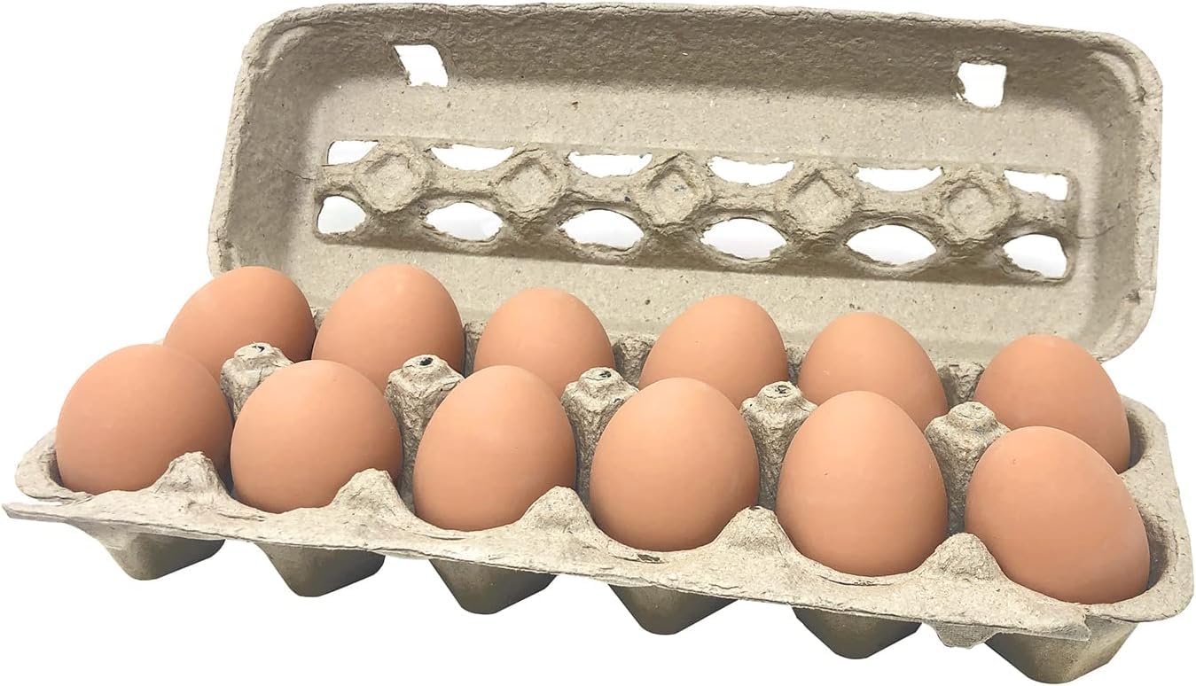 Paper Pulp Egg Cartons - 50 Pack
