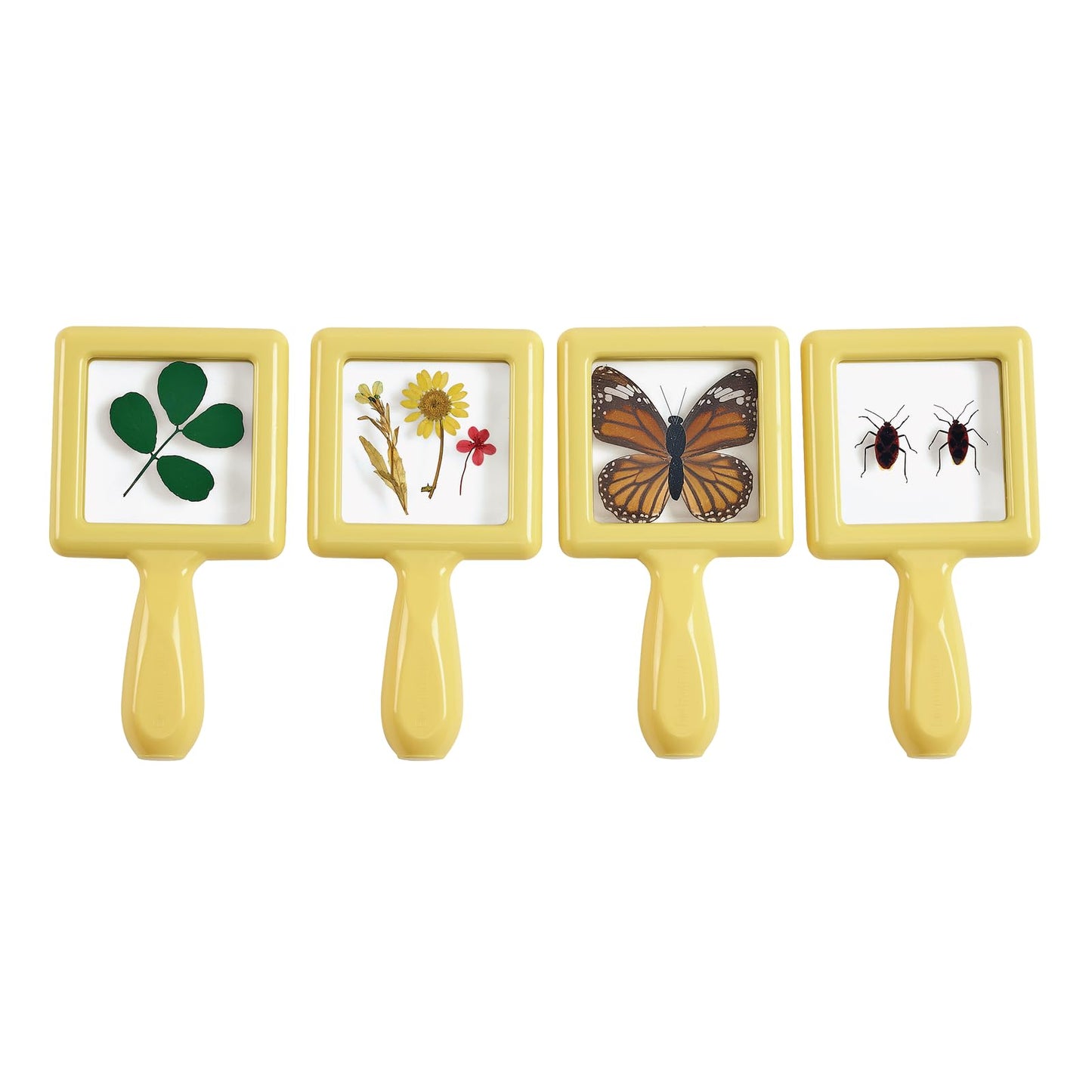 Environments Toddler, Preschool Early STEM, Specimen Viewers for Kids, Science Education Set of 4