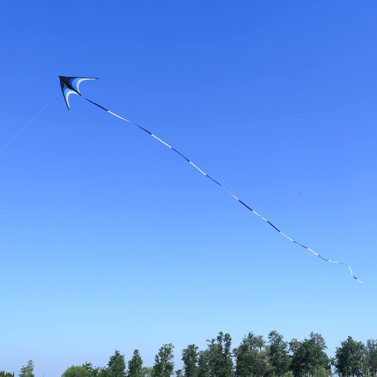 Kaiciuss Huge Delta Kite for Adults Easy to Fly, 9Ft Giant Single Line Style, Extra Large for Beach Trip, with 30M Kite Tail and 300FT String Line Handle (Blue)