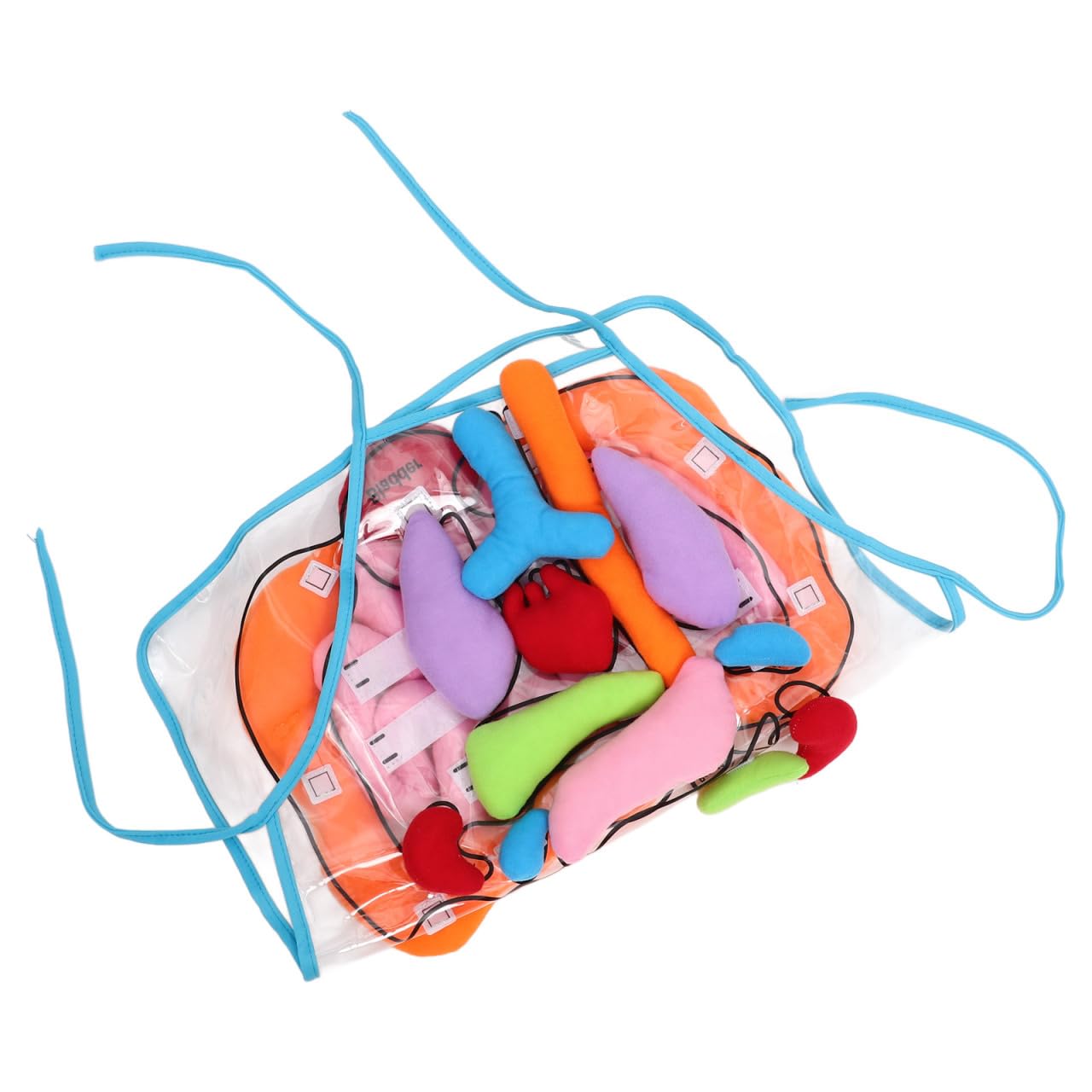 POPETPOP Educational Apron 1 Set 3D Organ Apron, Human Body Organs Cognitive Toy 3D Body Organs Apron Educational Tool Anatomy Apron for Kids 3D Human Organs Apron, As Shown, 60X40CM, As Shown, 60X40CM