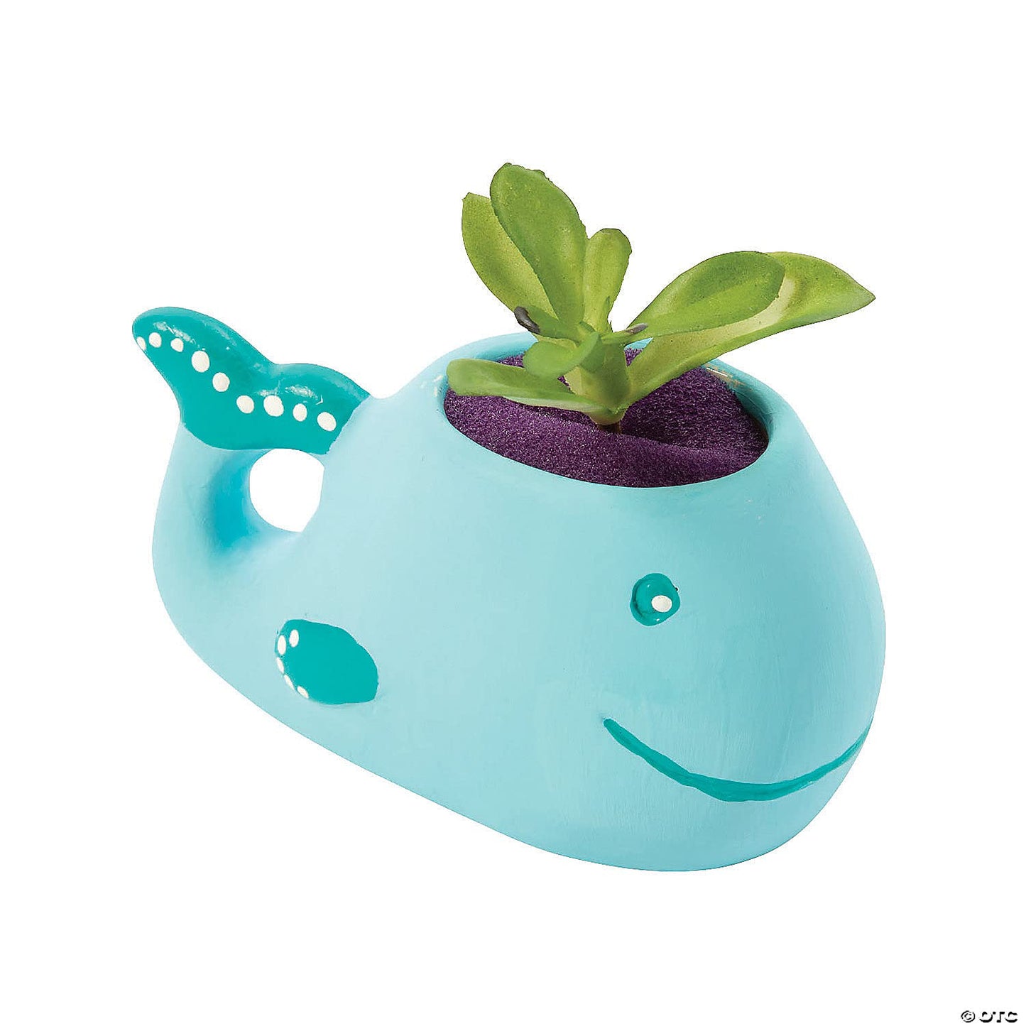 Fun Express DIY Mini Ceramic Whale Planters - Craft Kits - 12 Pieces