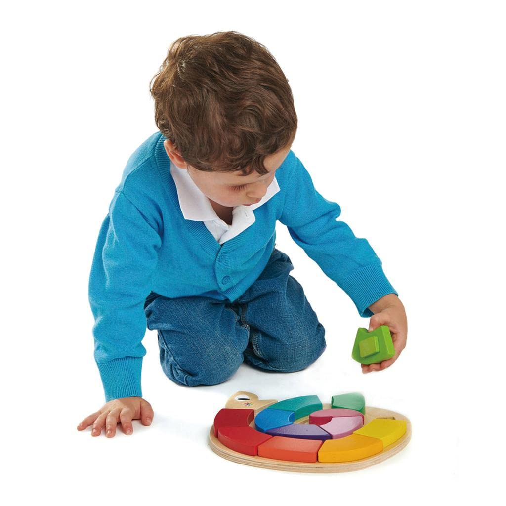 Tender Leaf Toys - Colour Me Happy - 13 Pieces Educational Colour Sorting Wooden Puzzle Toy with 3 Dimensional Shapes Underneath - Early Learning and Preschool Teaching Materials for Children 3+