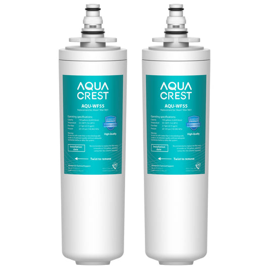 AQUACREST 9601 Water Filter, Model No.AQU-WF55. Replacement for Moen 9601 ChoiceFlo 9600, 9602, 9500, 9501, 9502, Fits F87400, F7400, F87200, 77200, CAF87254, S5500 Series of Moen Faucets (Pack of 2)
