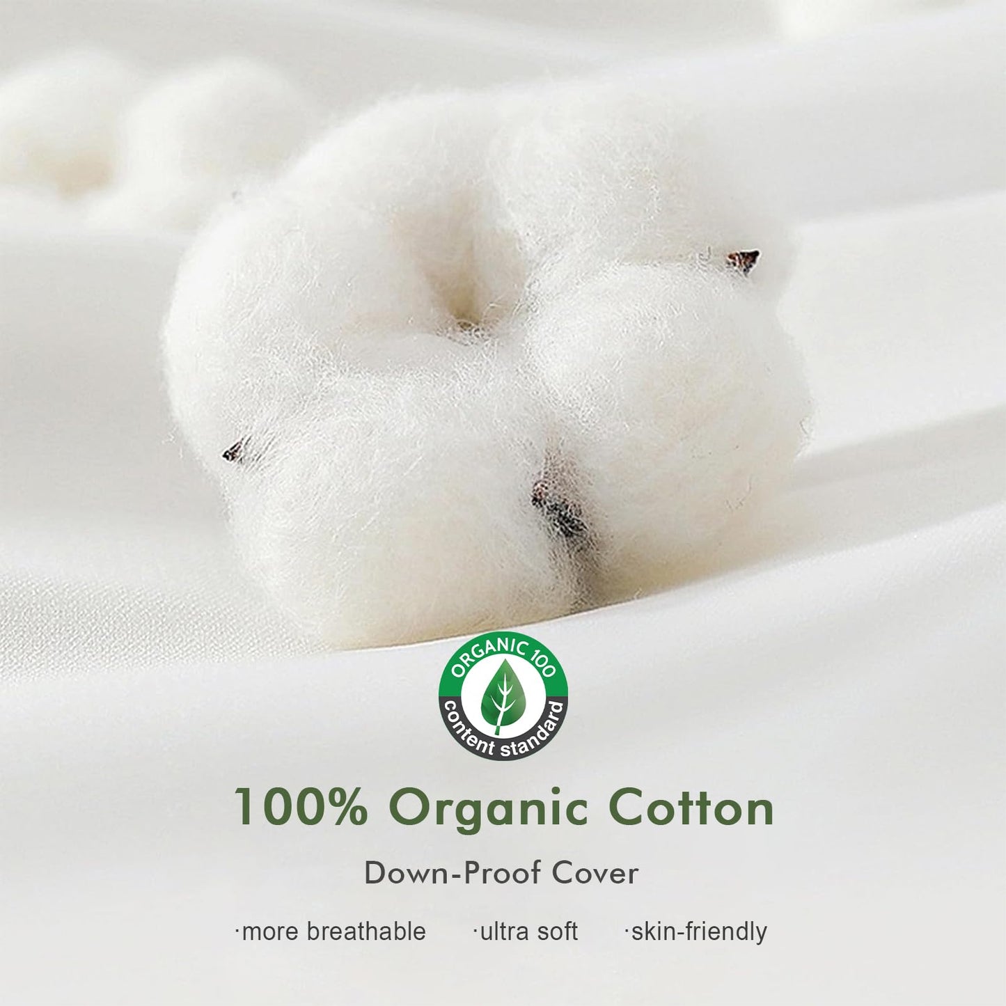 TOPGREEN Feathers Down Pillow Insert 14x36, 100% Organic Cotton Shell, Large Lumbar Pillow Insert, Decorative Throw Pillow for Living Room Sofa, Couch, or Bed (White)