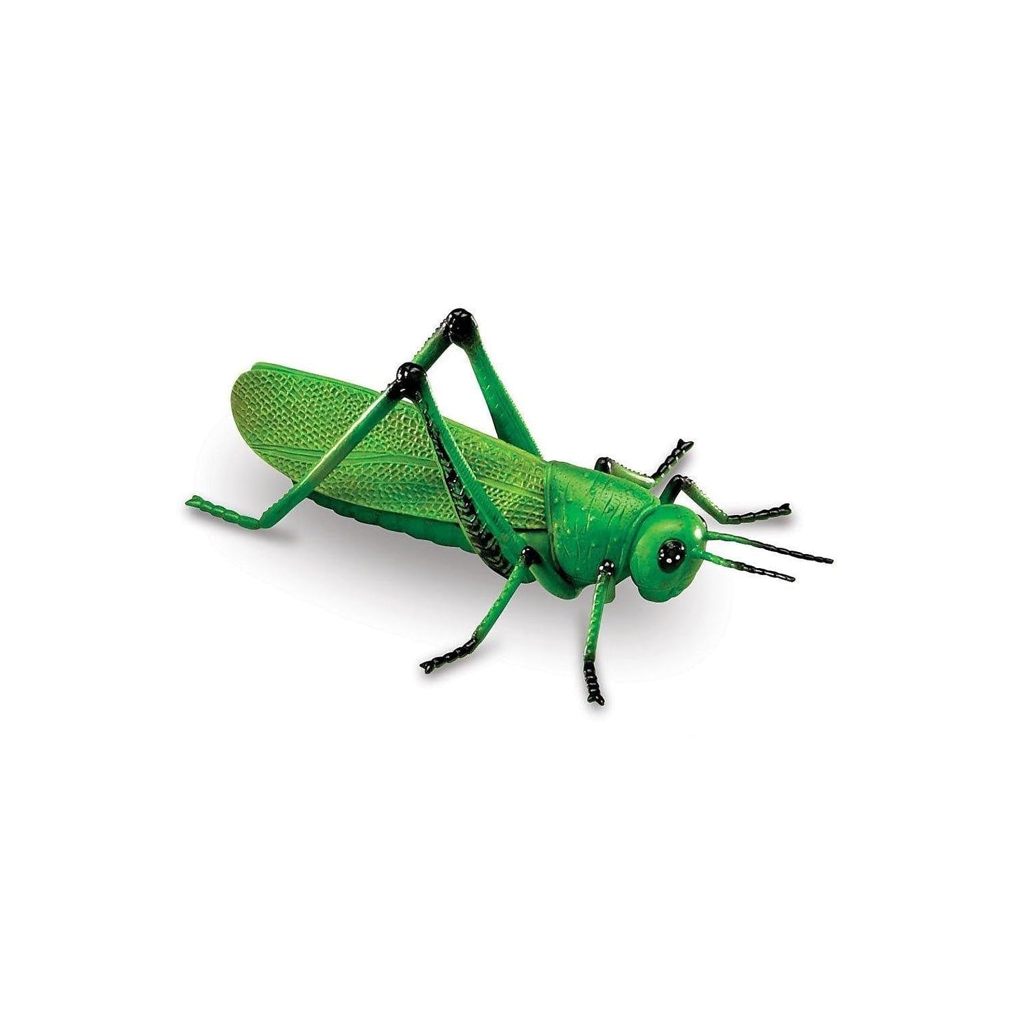 Learning Resources Jumbo Insects - 7 Pieces, Ages 3+ Toddler Learning Toys, Animal Toys for Kids, Preschool Science Learning Toys