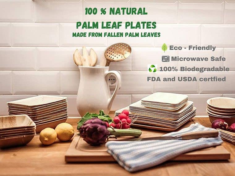 Charity Leaf Disposable Palm Leaf 6" Square Plates (200 pieces) Bamboo Like Serving Platters, Disposable Boards, Eco-Friendly Dinnerware For Weddings, Catering, Events