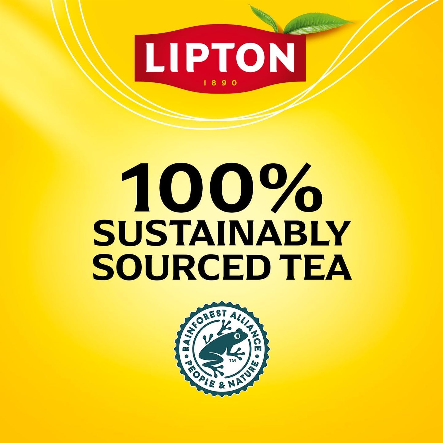 Lipton Decaffeinated Black Tea Bags 12-Pack Bundle with 600 Total Count for Hot or Iced Tea Rainforest Alliance Certified Smooth Vibrant Flavor Foil-Wrapped Premium
