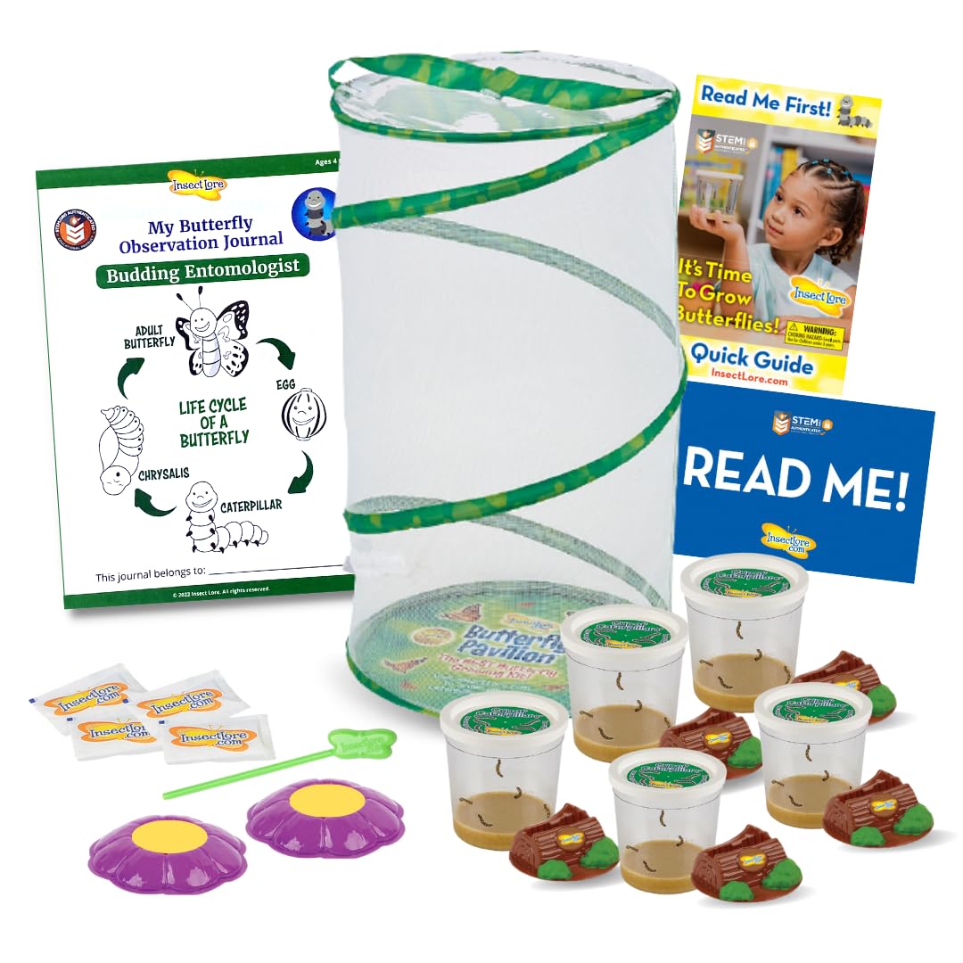 Insect Lore Easy 25 Butterfly Garden Pavilion | 5 Cups of 5 Baby Caterpillars, Pavilion Habitat, Chrys-a-lids, Food & Supplies |